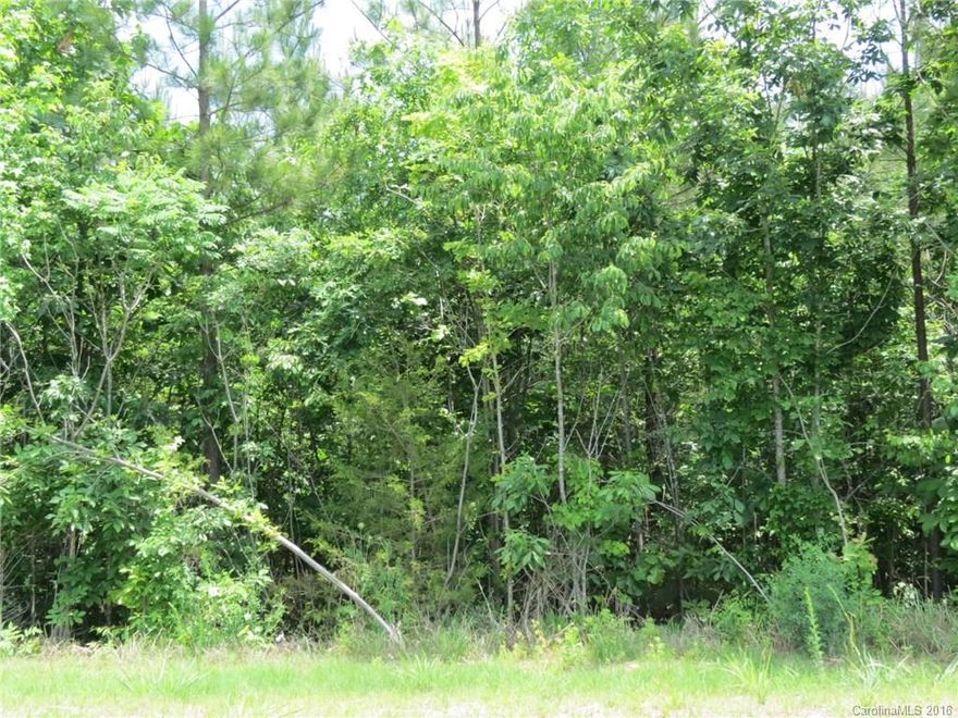 Beautiful wooded lots that are very private. Half of the lots have mature hardwoods and the remainder lots have mature pines. Located on a gently winding paved road outside of city limits. This location has easy access to downtown Clover, York and I-85. All lots are at least 1 acre in size and have plenty of trees for privacy and shade. 16 lots remain available. Can combine lots for more acreage. Minimal restrictions to keep like-in-kind properties.