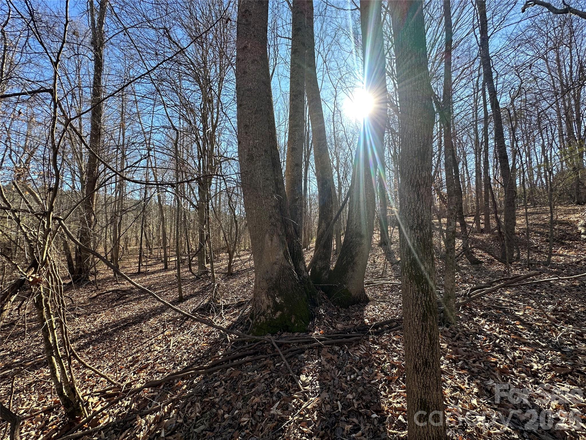 Green River Highlands - Land