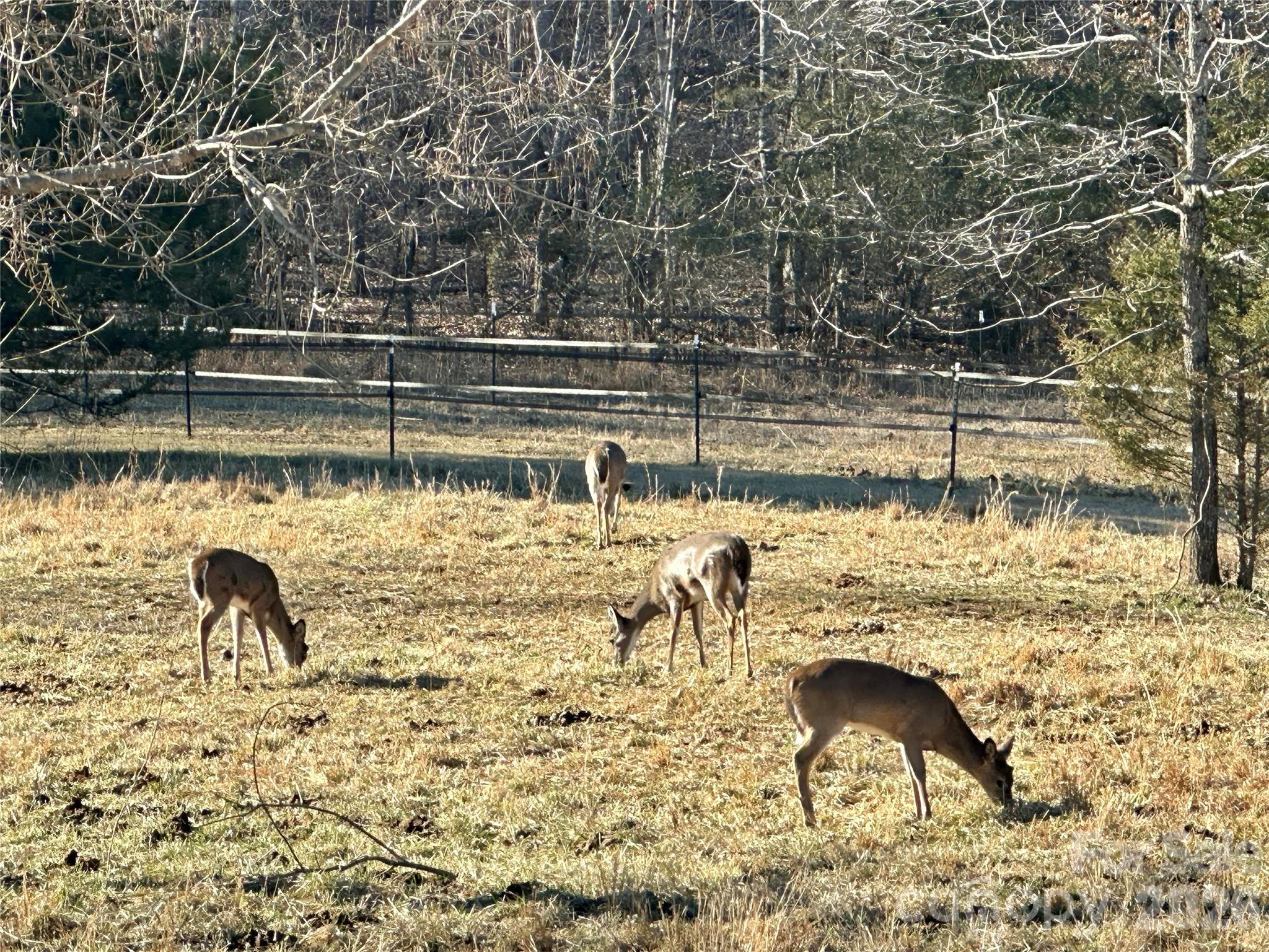 Green River Highlands - Land
