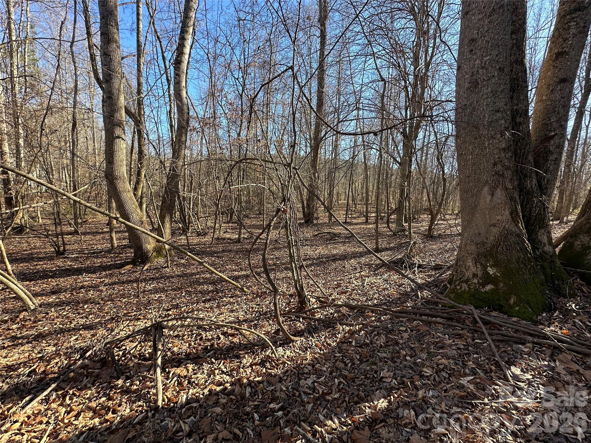 Green River Highlands - Land