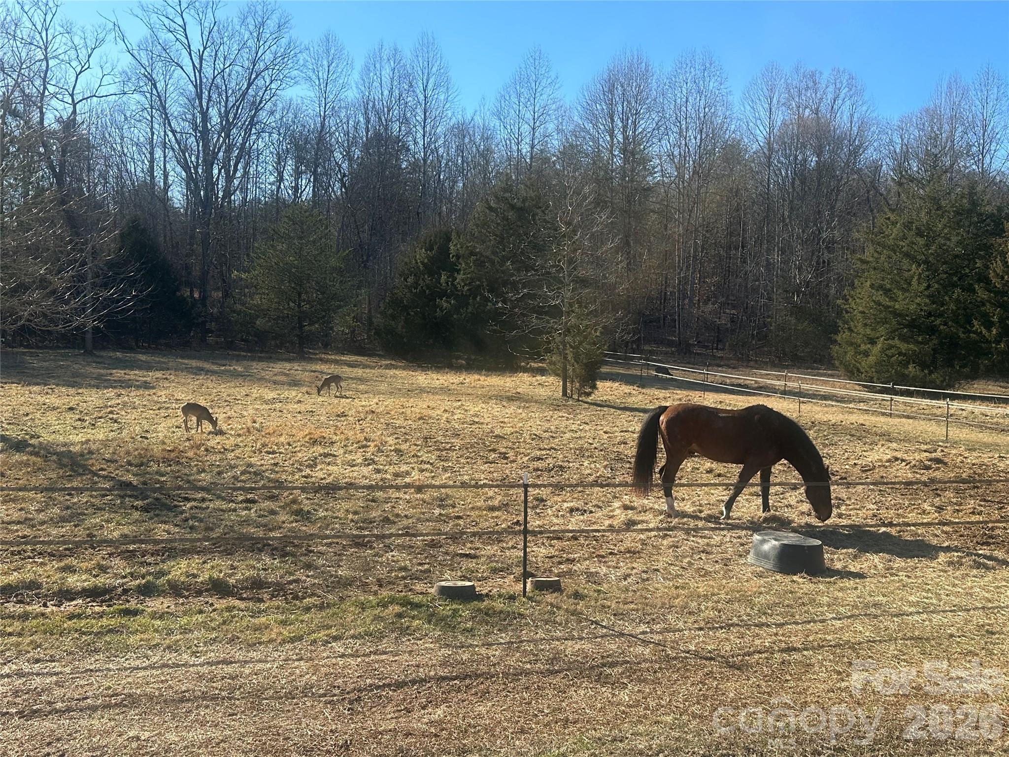 Green River Highlands - Land