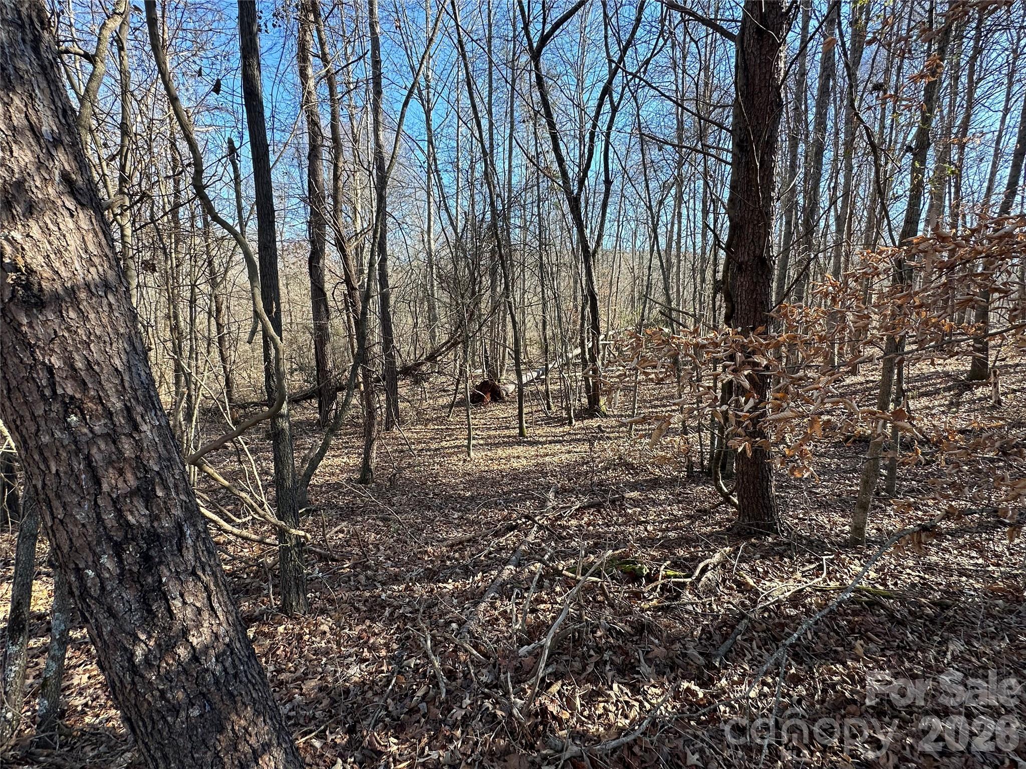 Green River Highlands - Land