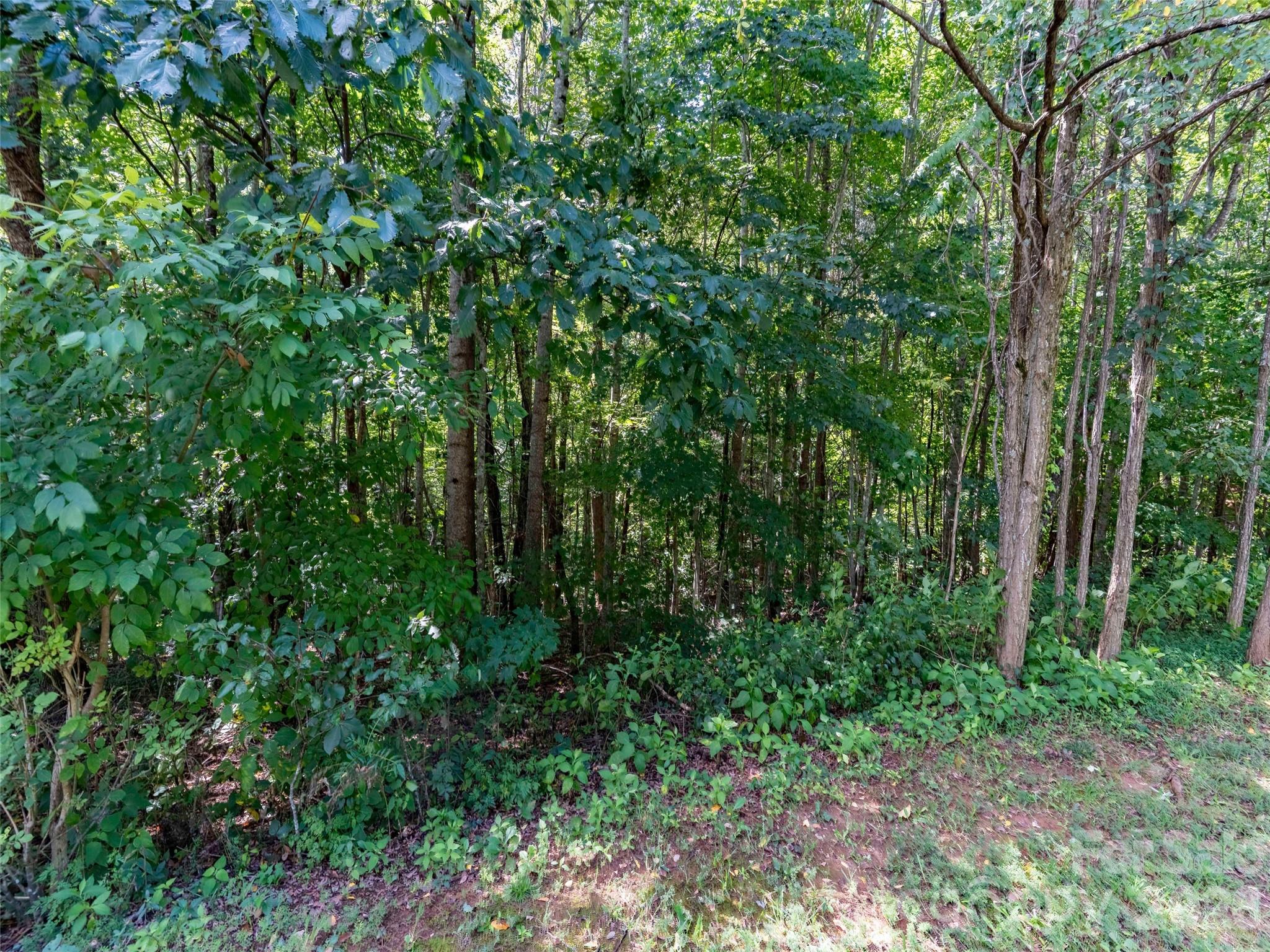 0 Deep Gap Farm Road W 2061