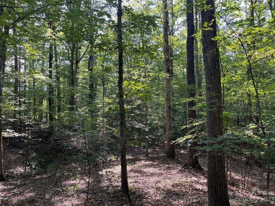 Nestled within a peaceful countryside setting, this 13.4-acre parcel strikes the perfect balance between seclusion and convenience. Enjoy the tranquility of rural living while being within a reasonable distance from local amenities, schools, shopping, and entertainment options. With its abundant wildlife, hunting potential, meandering creek, divisible parcels, and strategic infrastructure enhancements, this property is a true masterpiece. Whether you envision building your dream home, creating a family haven, or indulging in outdoor adventures, this land is poised to transform your aspirations into reality. The property has also been perked for a 3-bedroom septic system, streamlining the process for future construction. Don't miss the chance to embrace a lifestyle of serenity and natural splendor – schedule your viewing today.