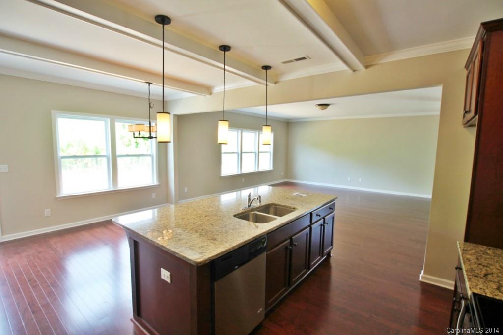 Silver Run - Residential