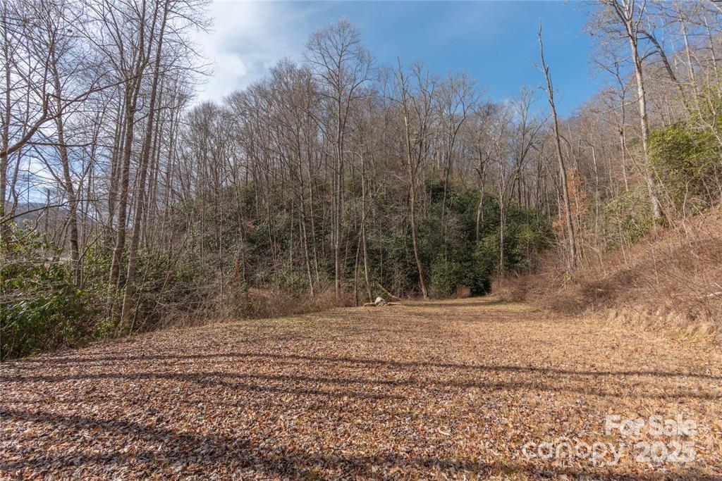 2220 (Tract 1) Tilley Creek Road