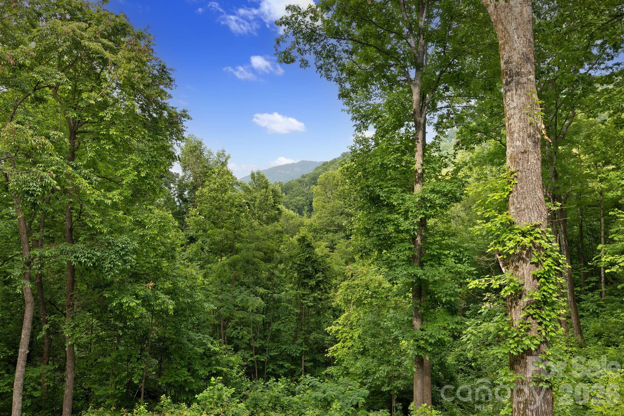 Gateway Mountain - Residential