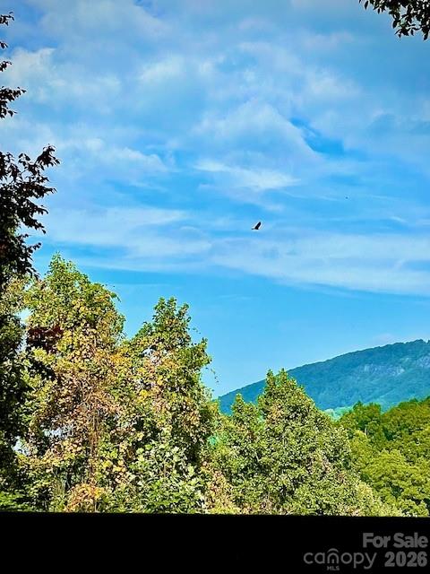 Gateway Mountain - Residential