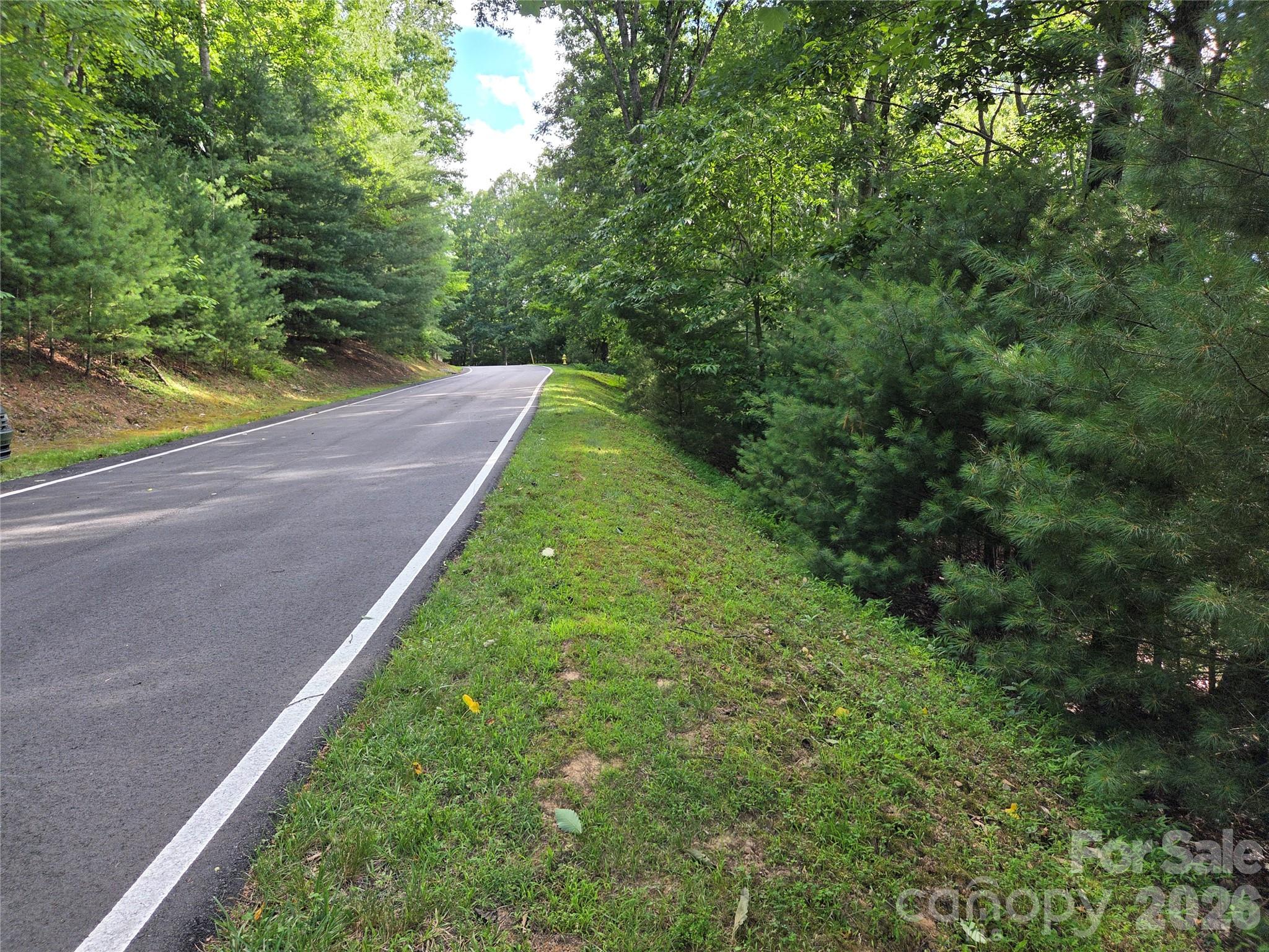 27 Dividing Ridge Trail 14