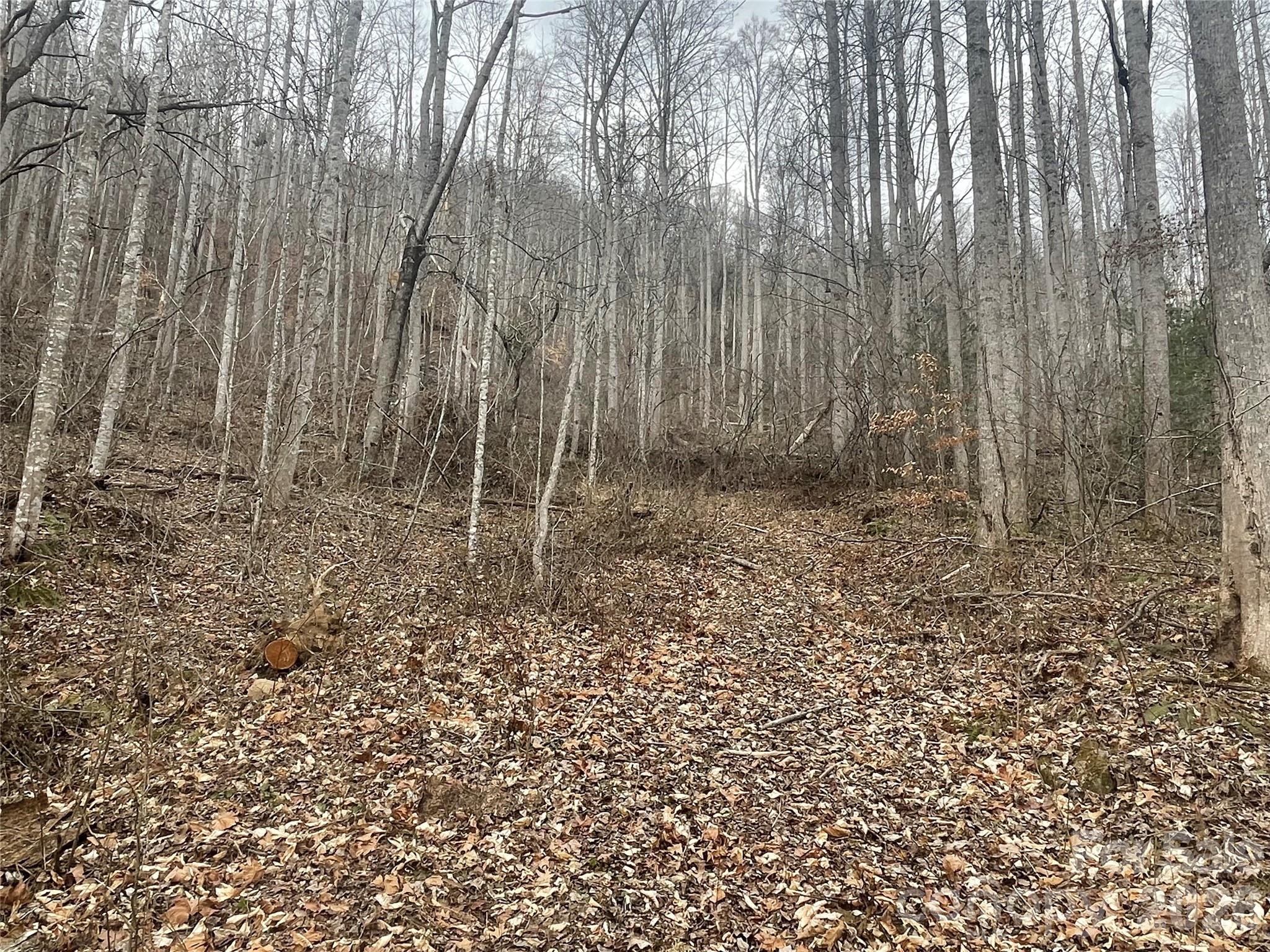 999999 Martins Creek Road