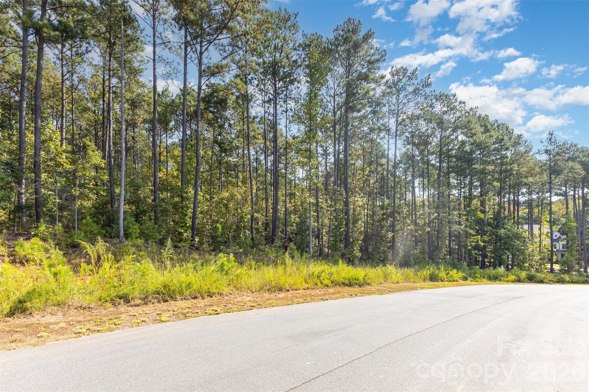 Riverchase Estates - Land