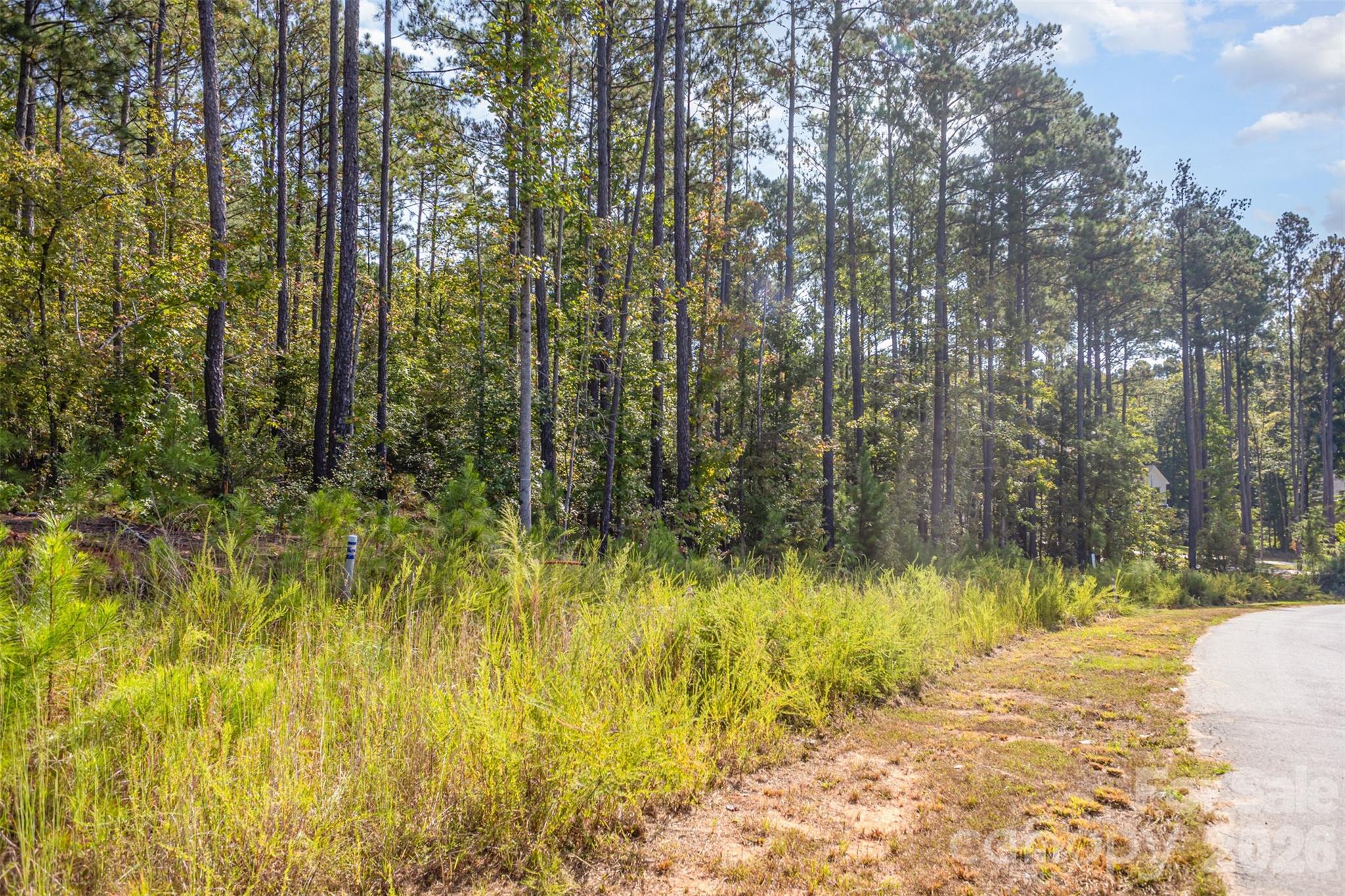 Riverchase Estates - Land