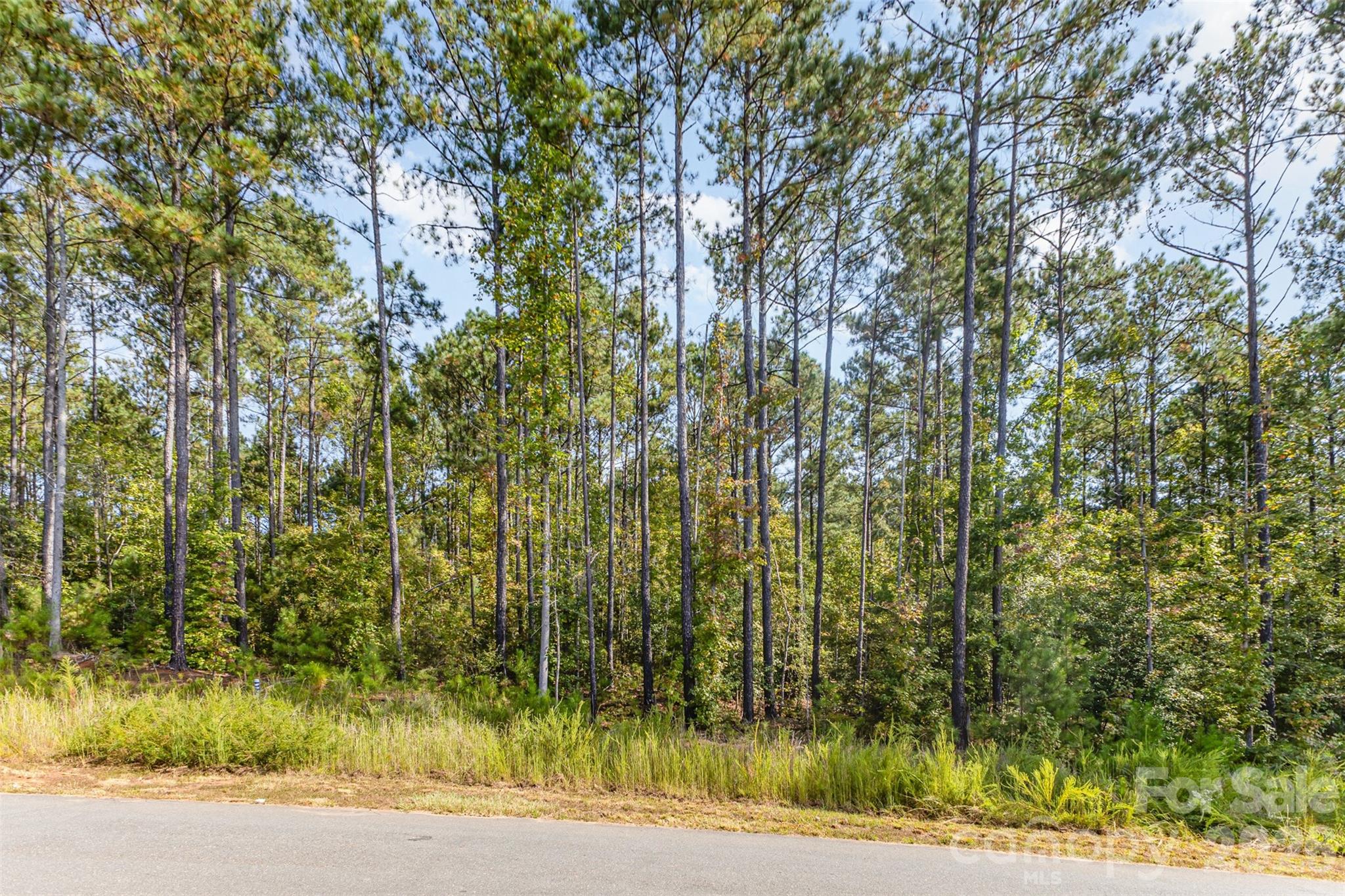 Riverchase Estates - Land