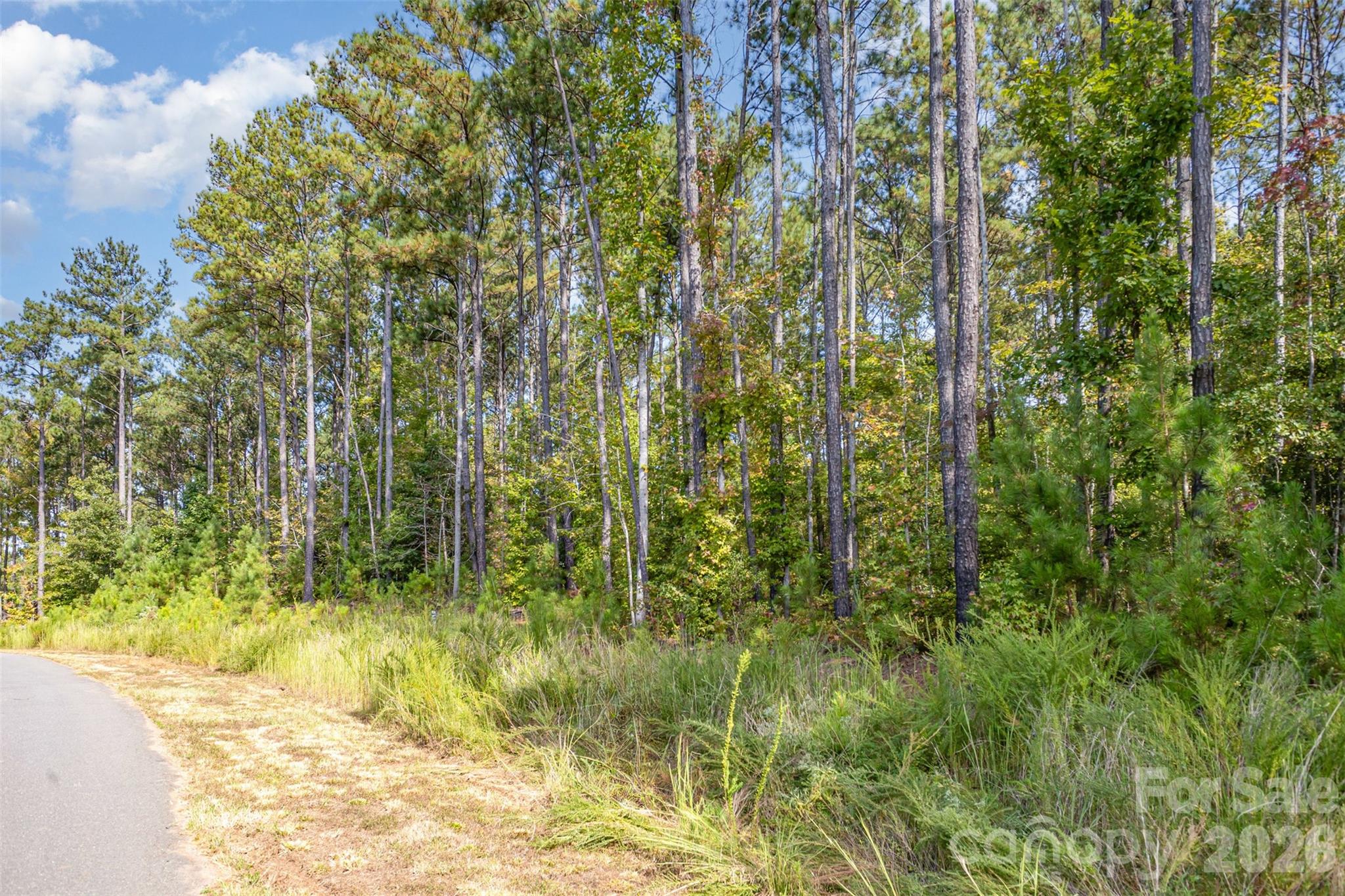 Riverchase Estates - Land