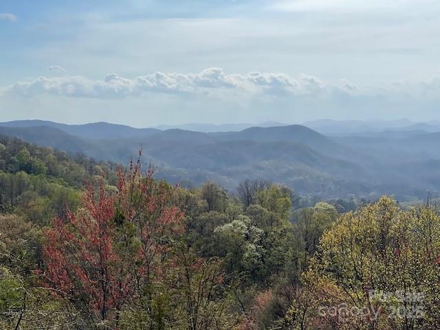 Connestee Falls - Residential