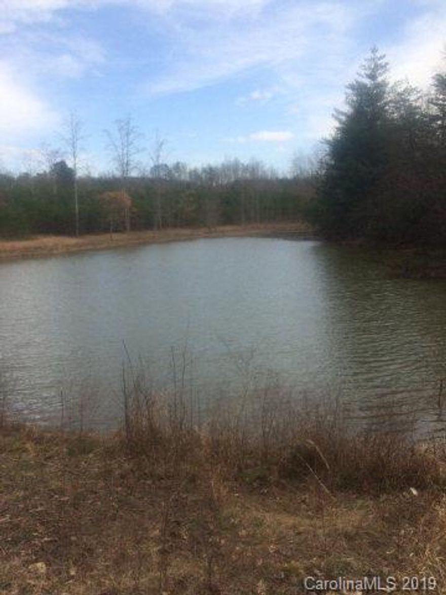 A beautiful piece of rolling property that is protected by the Mecklenburg Boy Scout property.  The is an approximate 1 acre pond on the property.  Very good long range views.  The property is rolling to level.  Dysartville Creek borders the left side of the property. Excellent opportunity to enjoy county living.