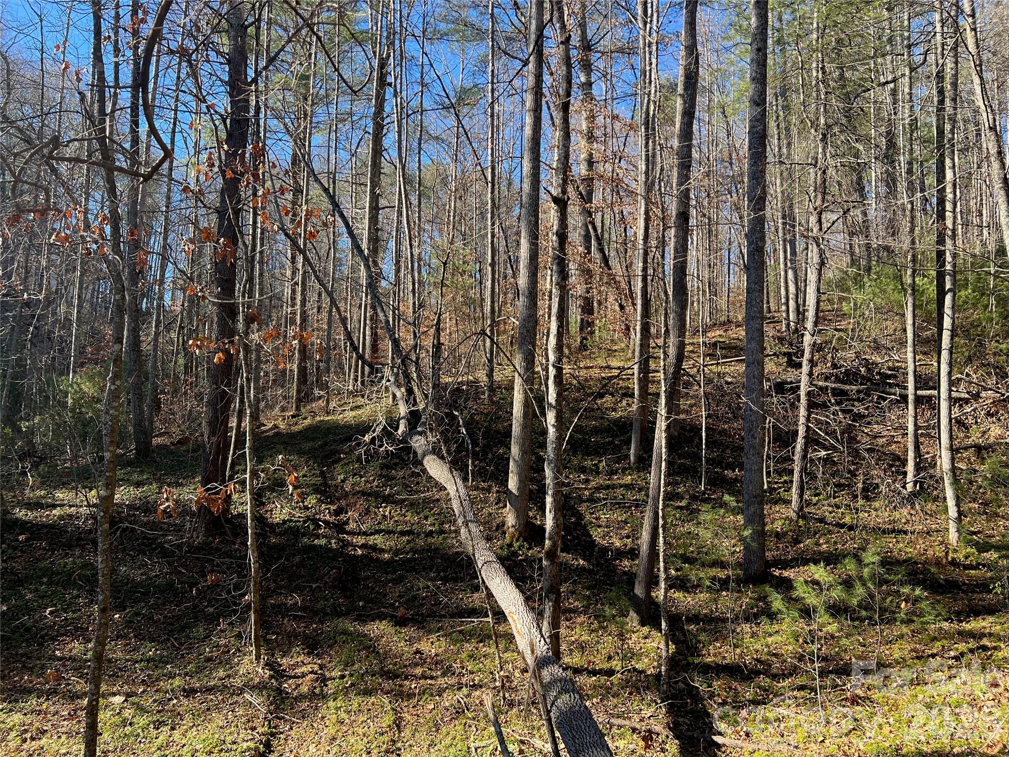 147 Falling Leaves Lane