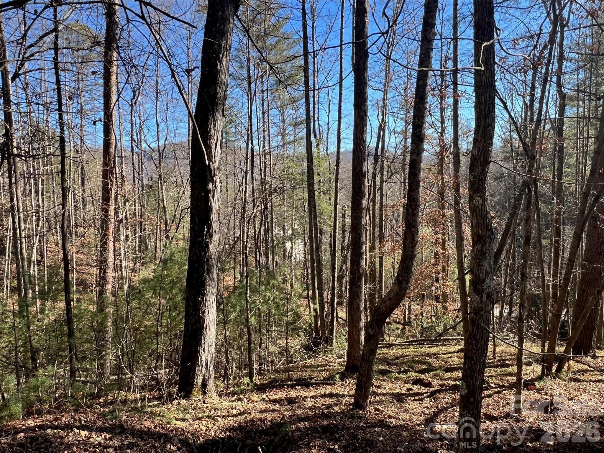 147 Falling Leaves Lane