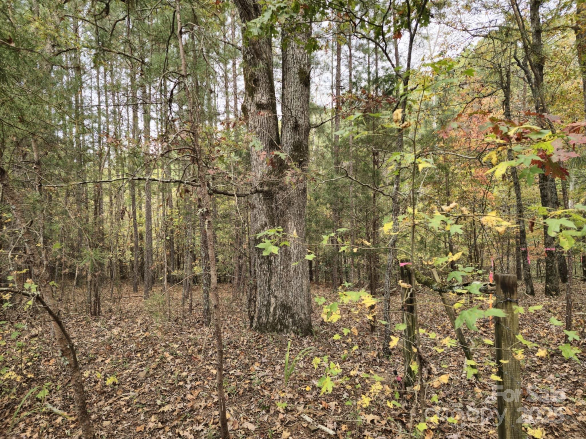 TBD WB Philbeck Road