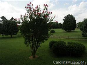 Raintree - Residential Lease