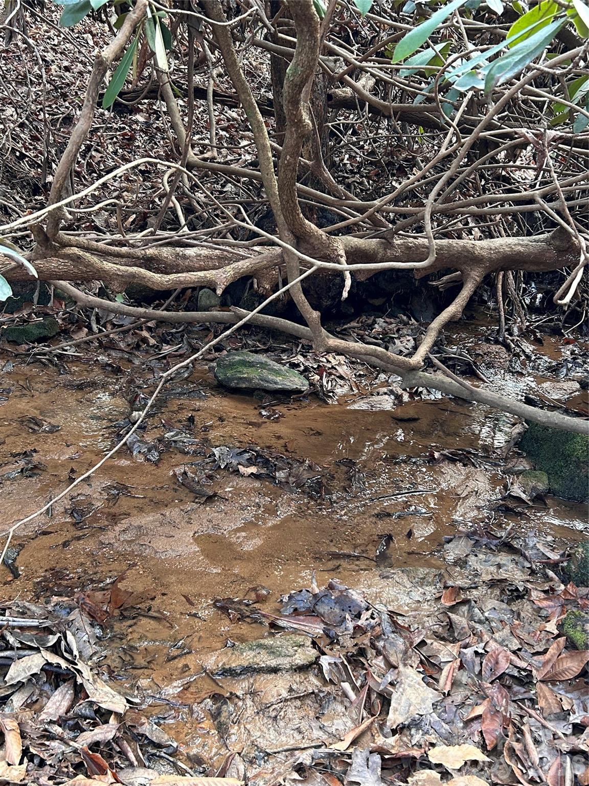 254 Stoney Creek Drive 224