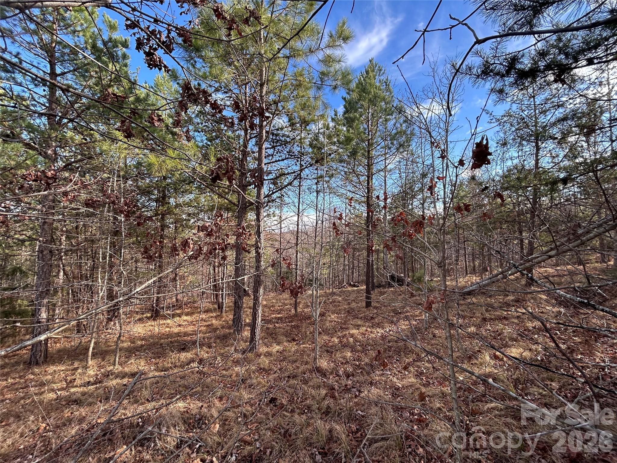 254 Stoney Creek Drive 224