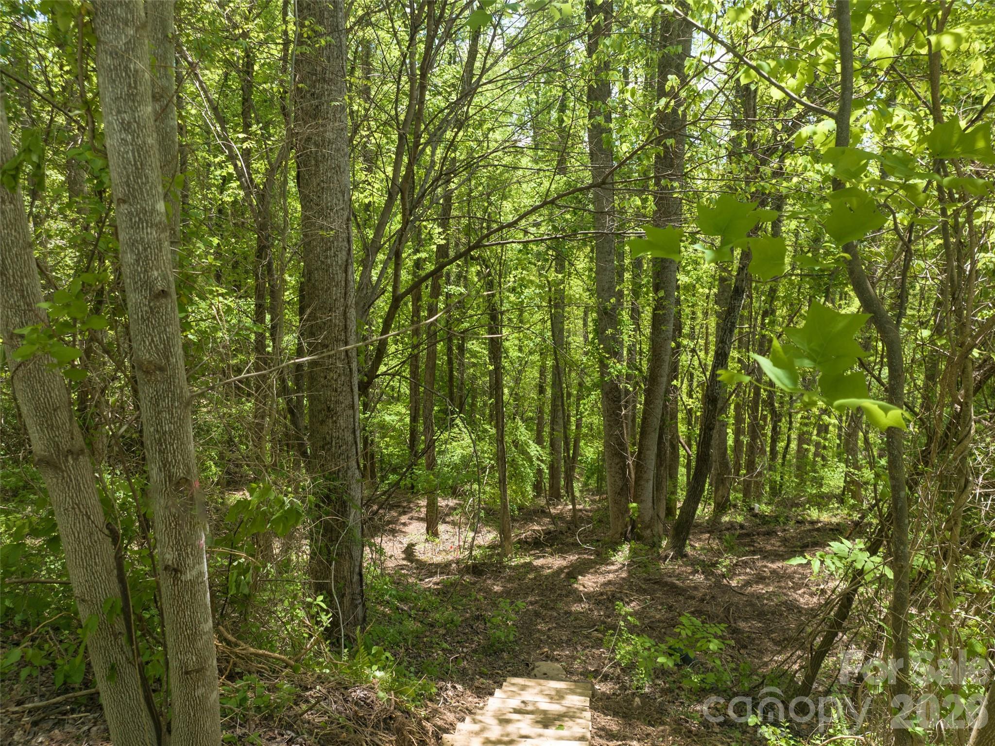 26 Fall Mountain Road 58