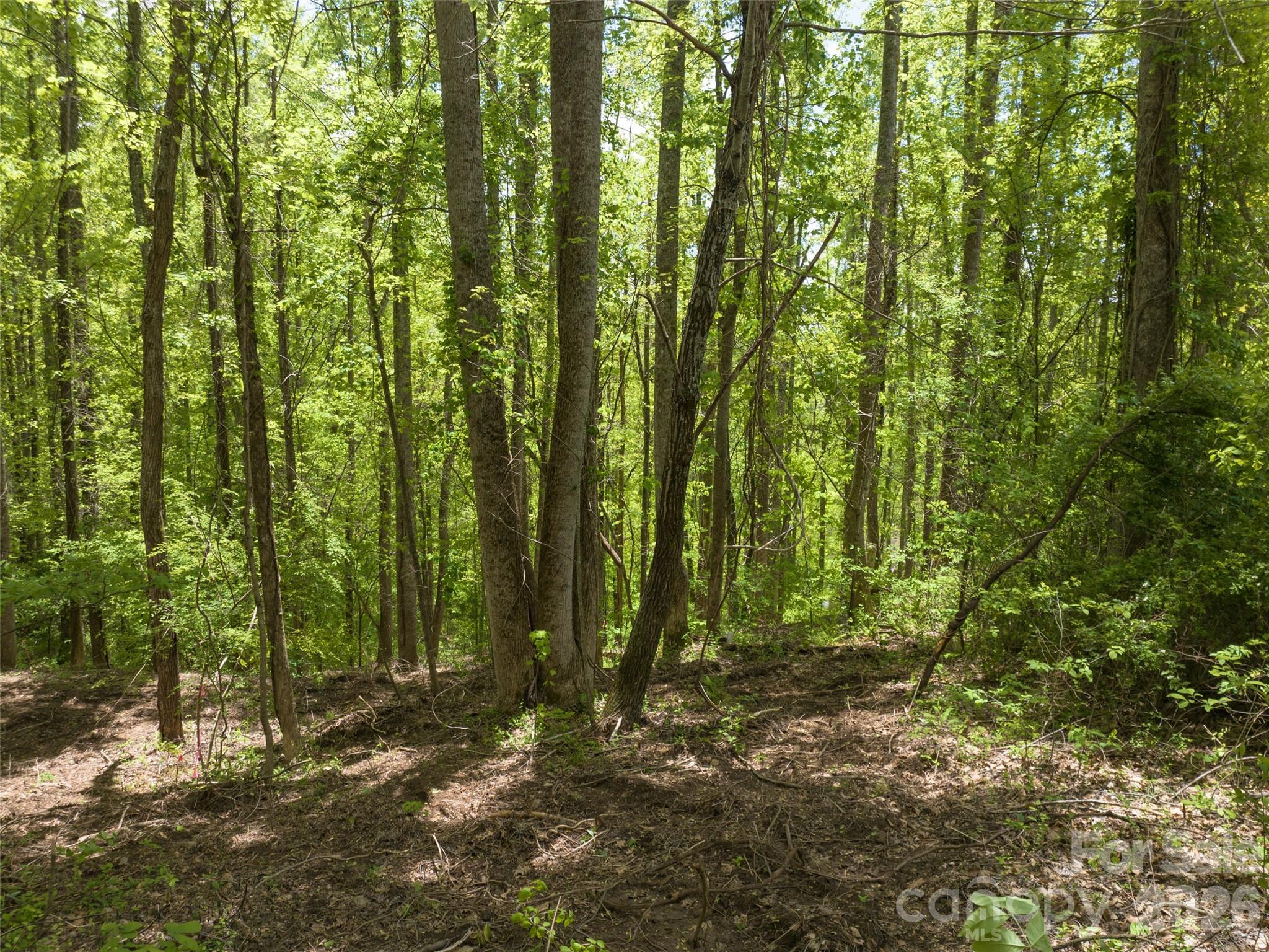 26 Fall Mountain Road 58