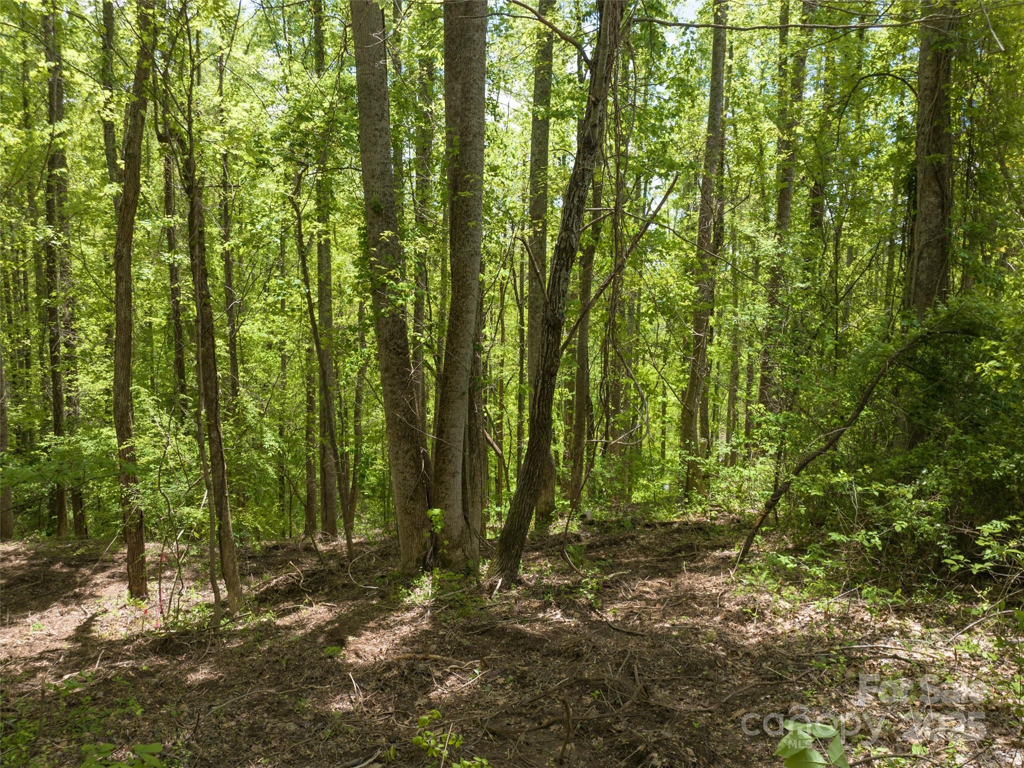 26 Fall Mountain Road 58