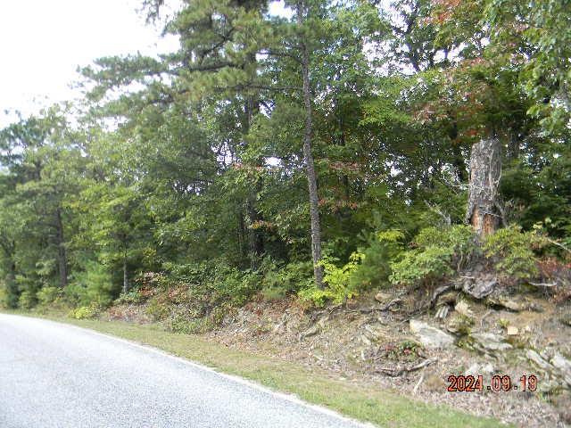 7866 Pinnacle Mountain Road 3 & 4