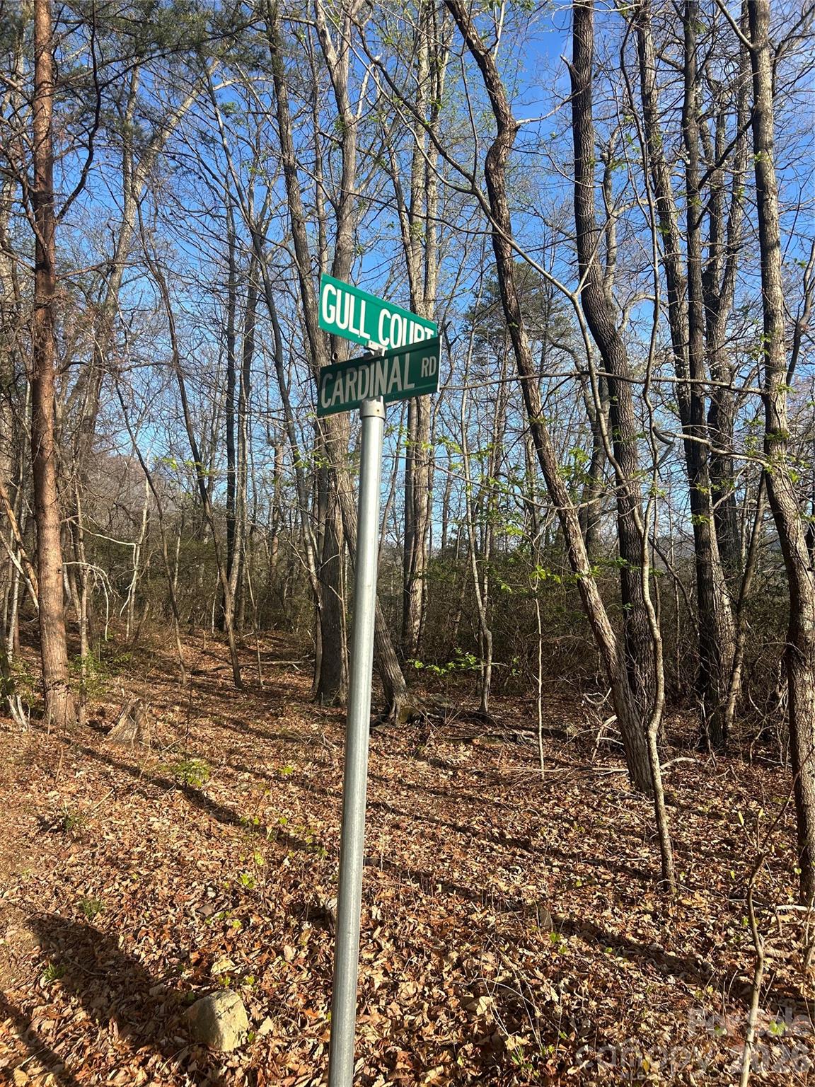 Rumbling Bald on Lake Lure - Land