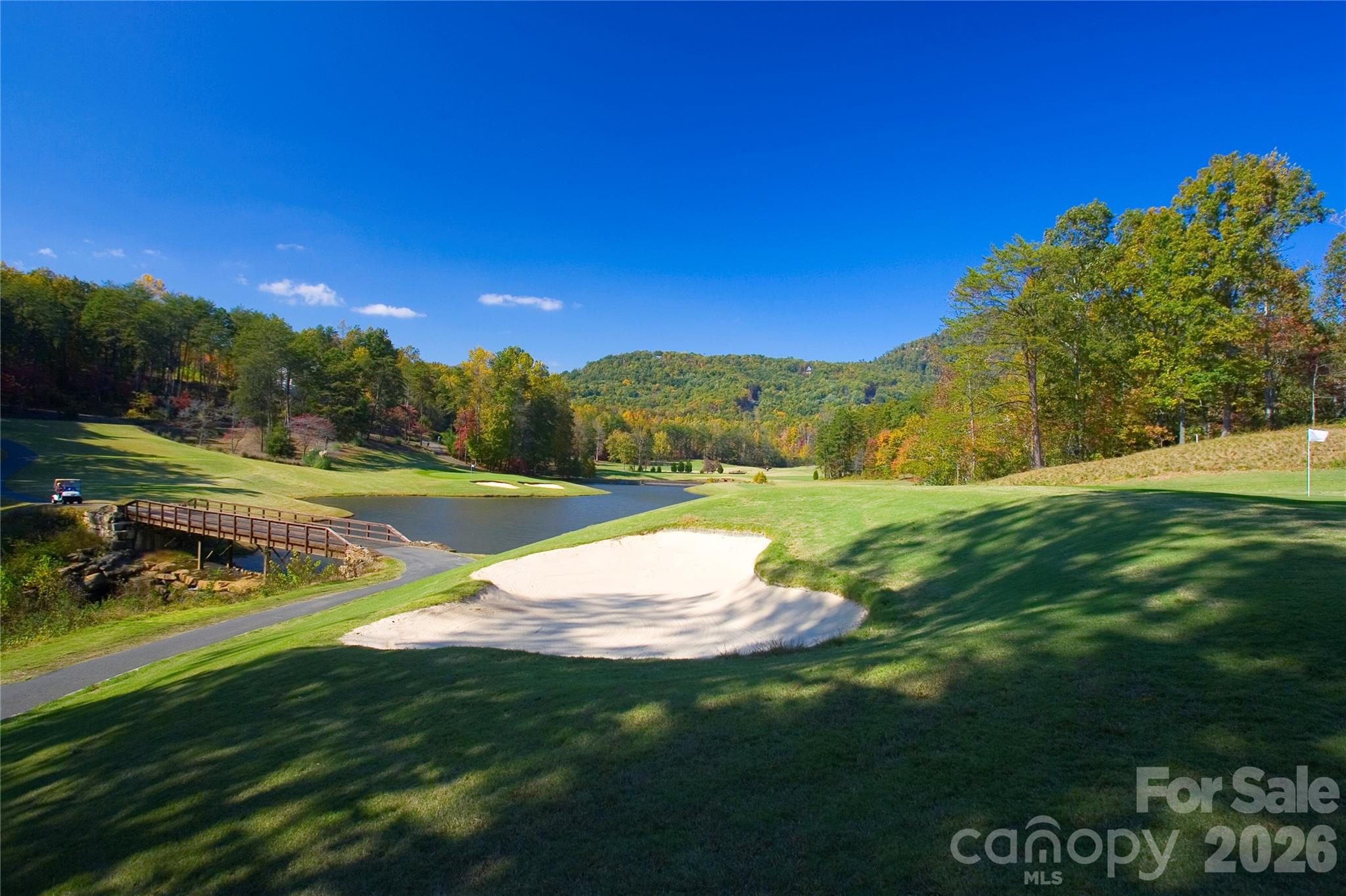 Rumbling Bald on Lake Lure - Land