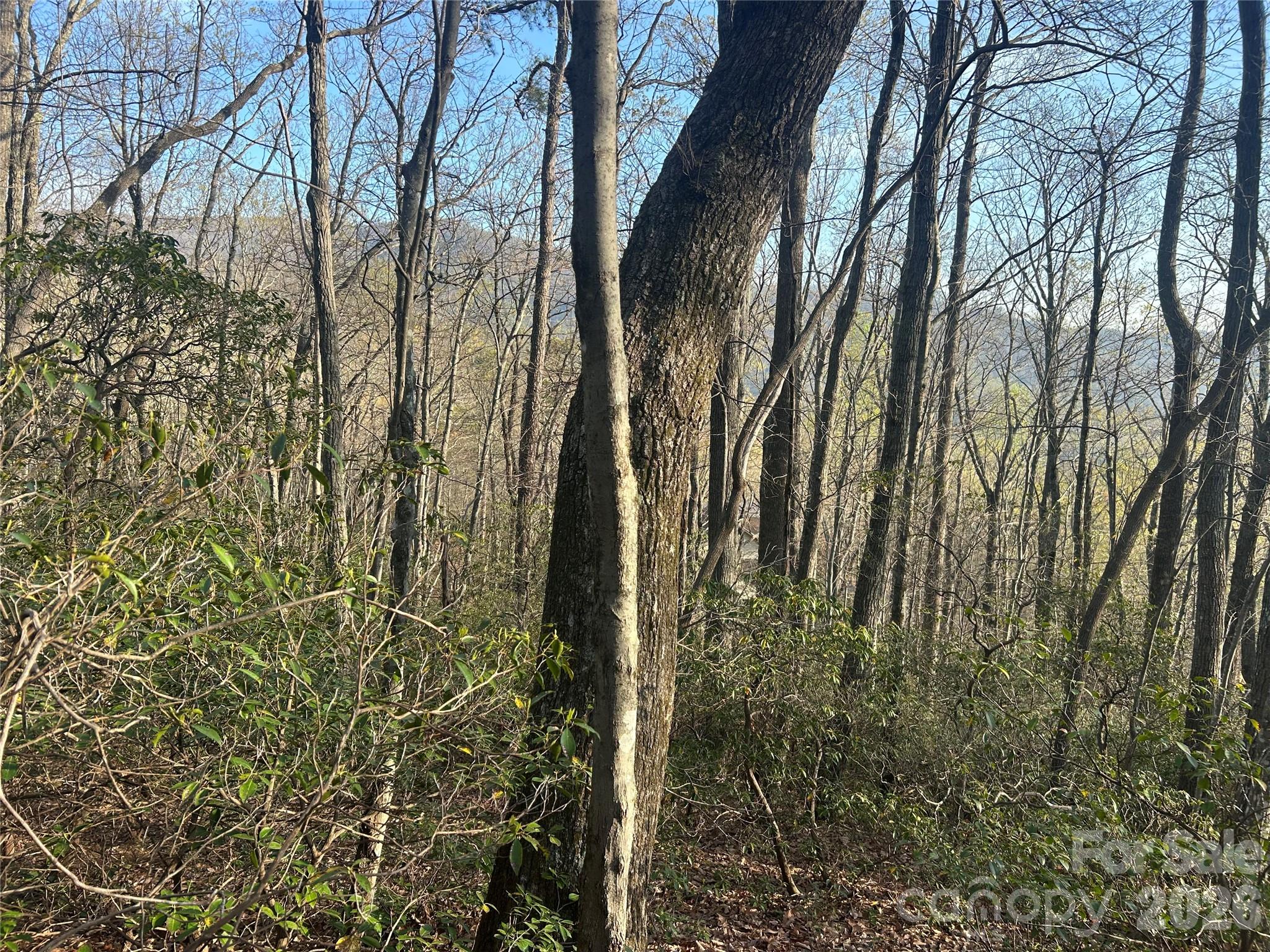 Lot 301 Cardinal Road 301