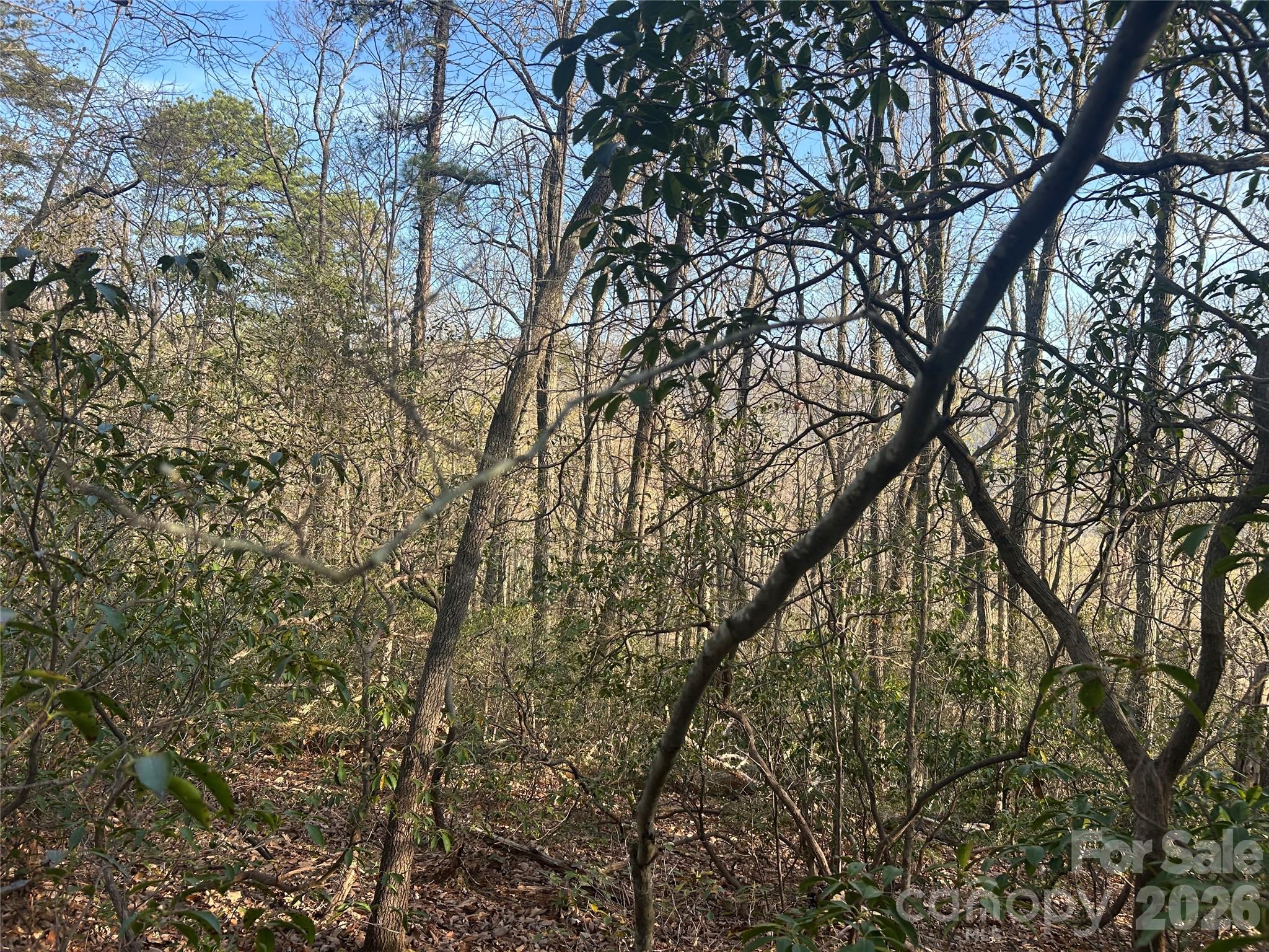 Lot 301 Cardinal Road 301