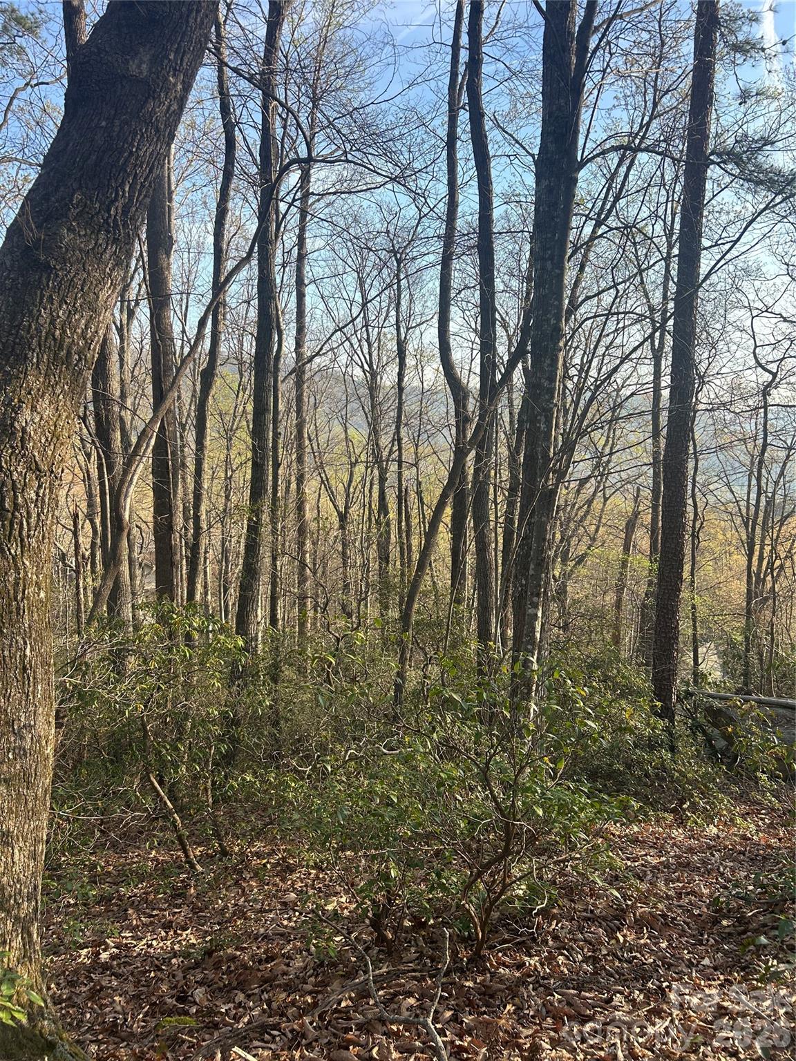 Lot 301 Cardinal Road 301