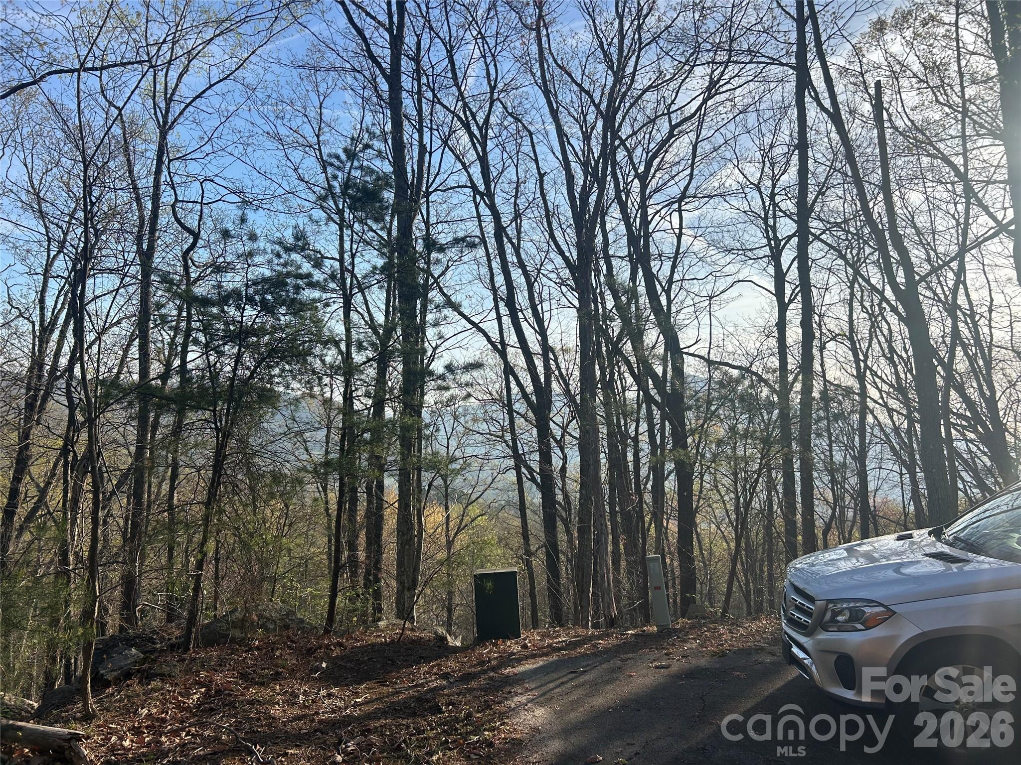 Rumbling Bald on Lake Lure - Land