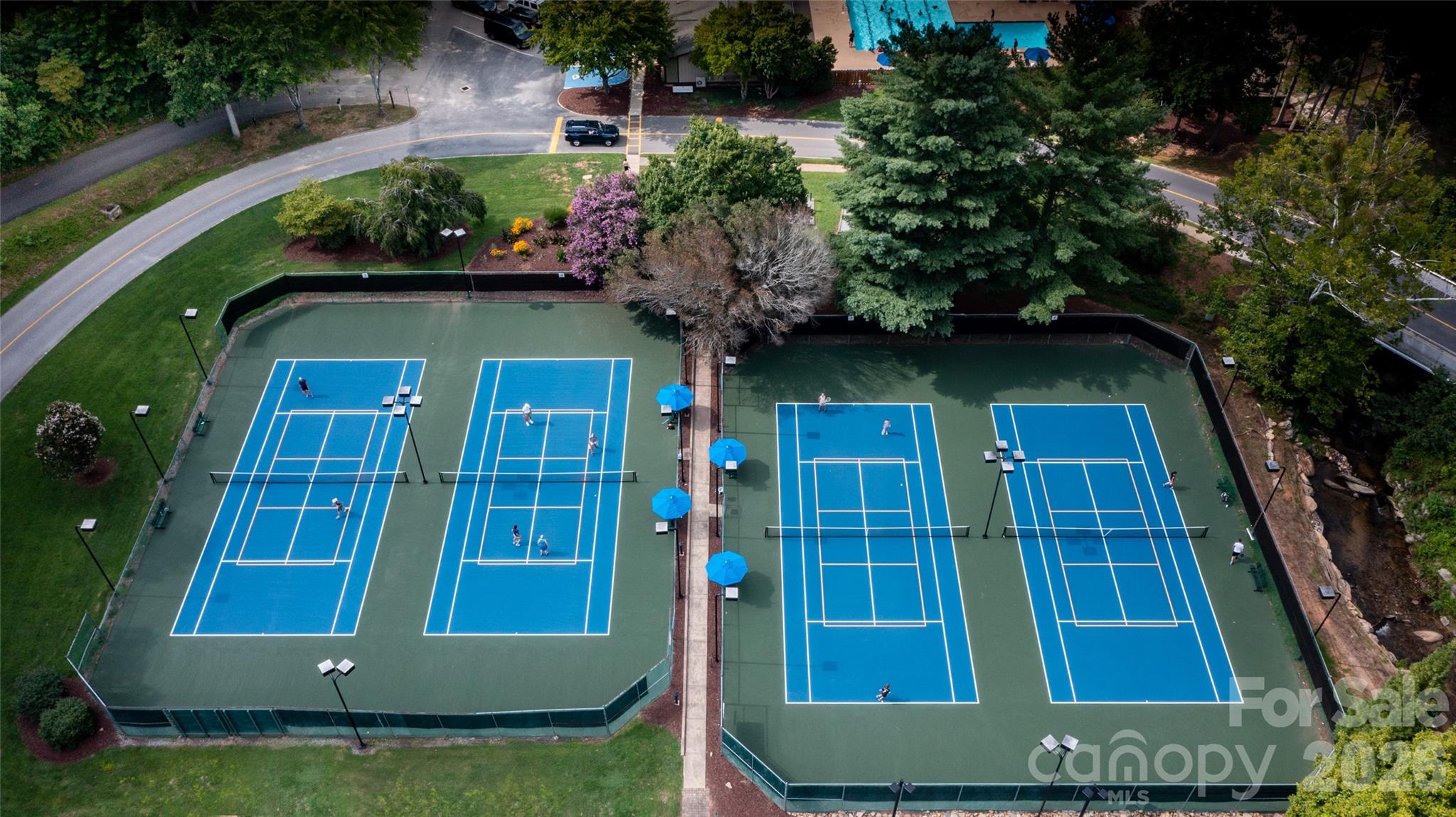 Rumbling Bald on Lake Lure - Land