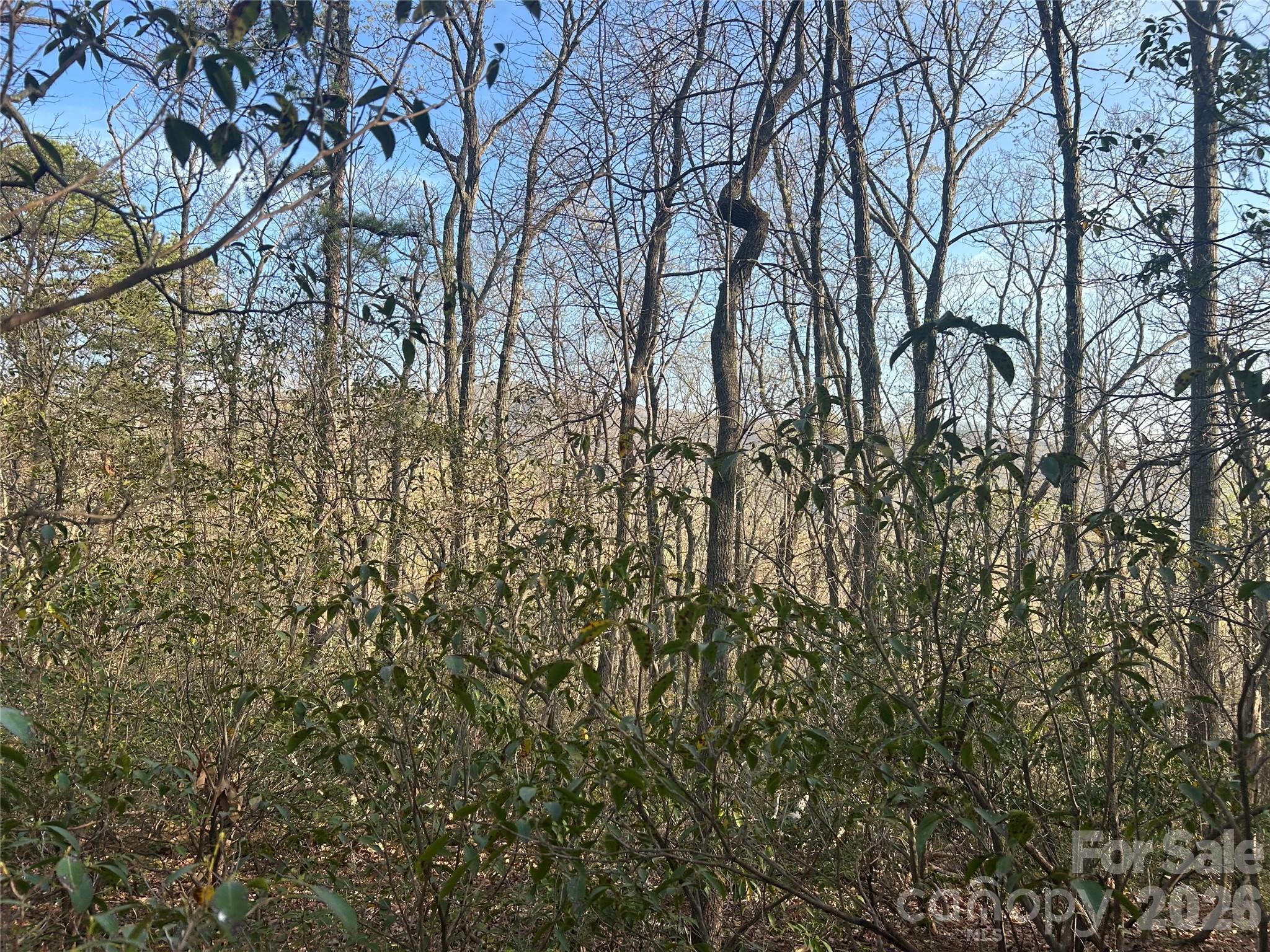 Lot 301 Cardinal Road 301