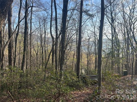 Lot 301 Cardinal Road 301 Lake Lure NC 28746