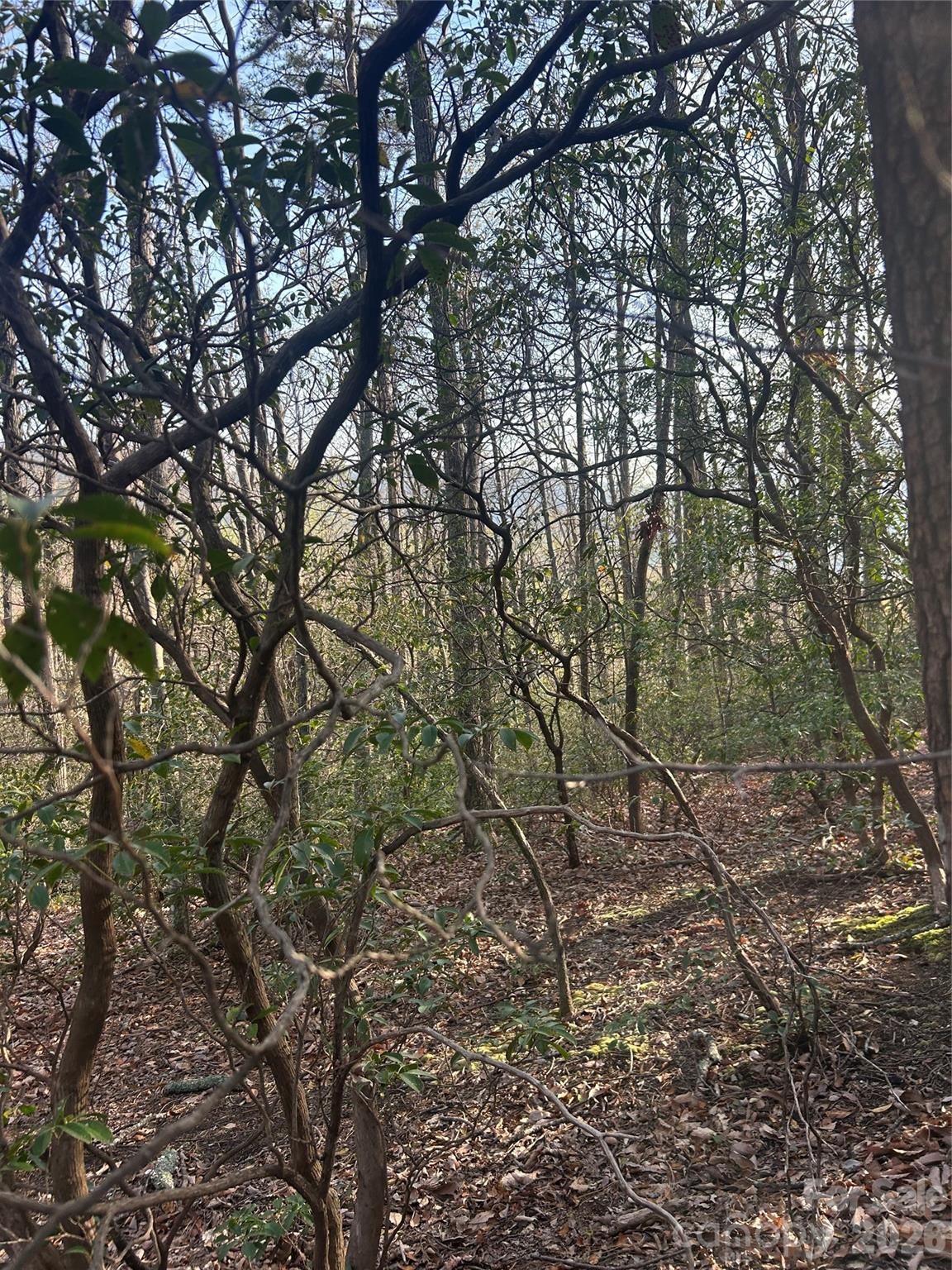 Rumbling Bald on Lake Lure - Land