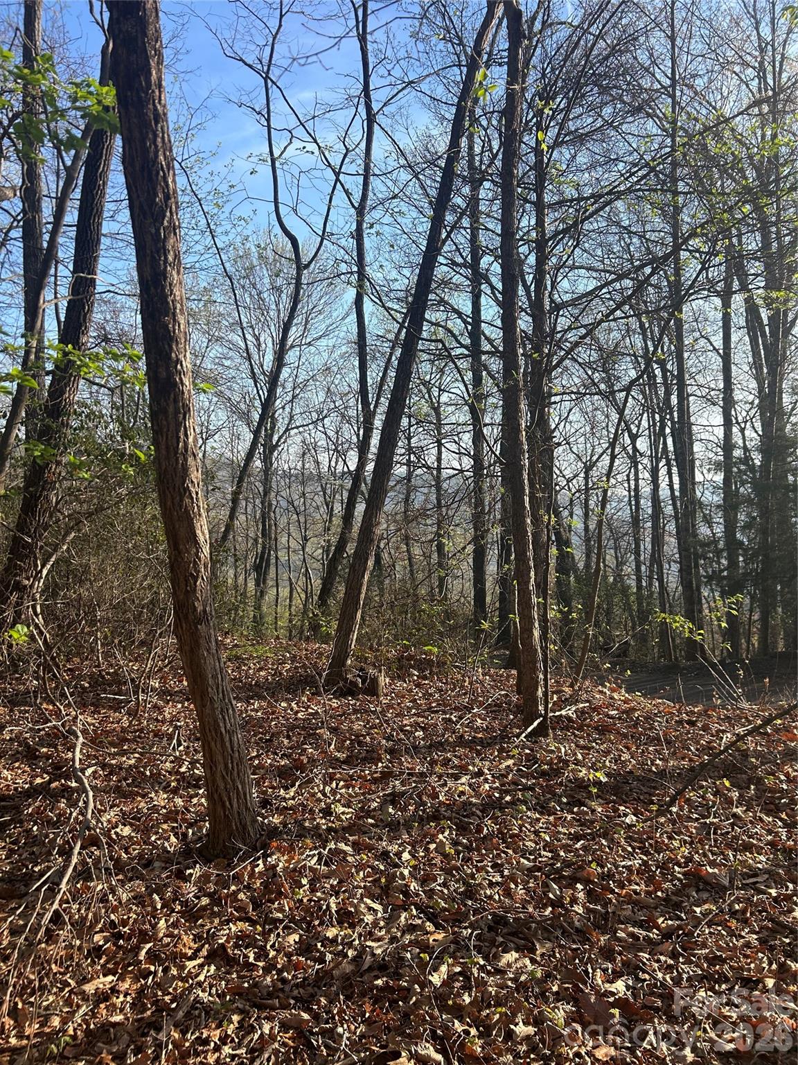 Rumbling Bald on Lake Lure - Land