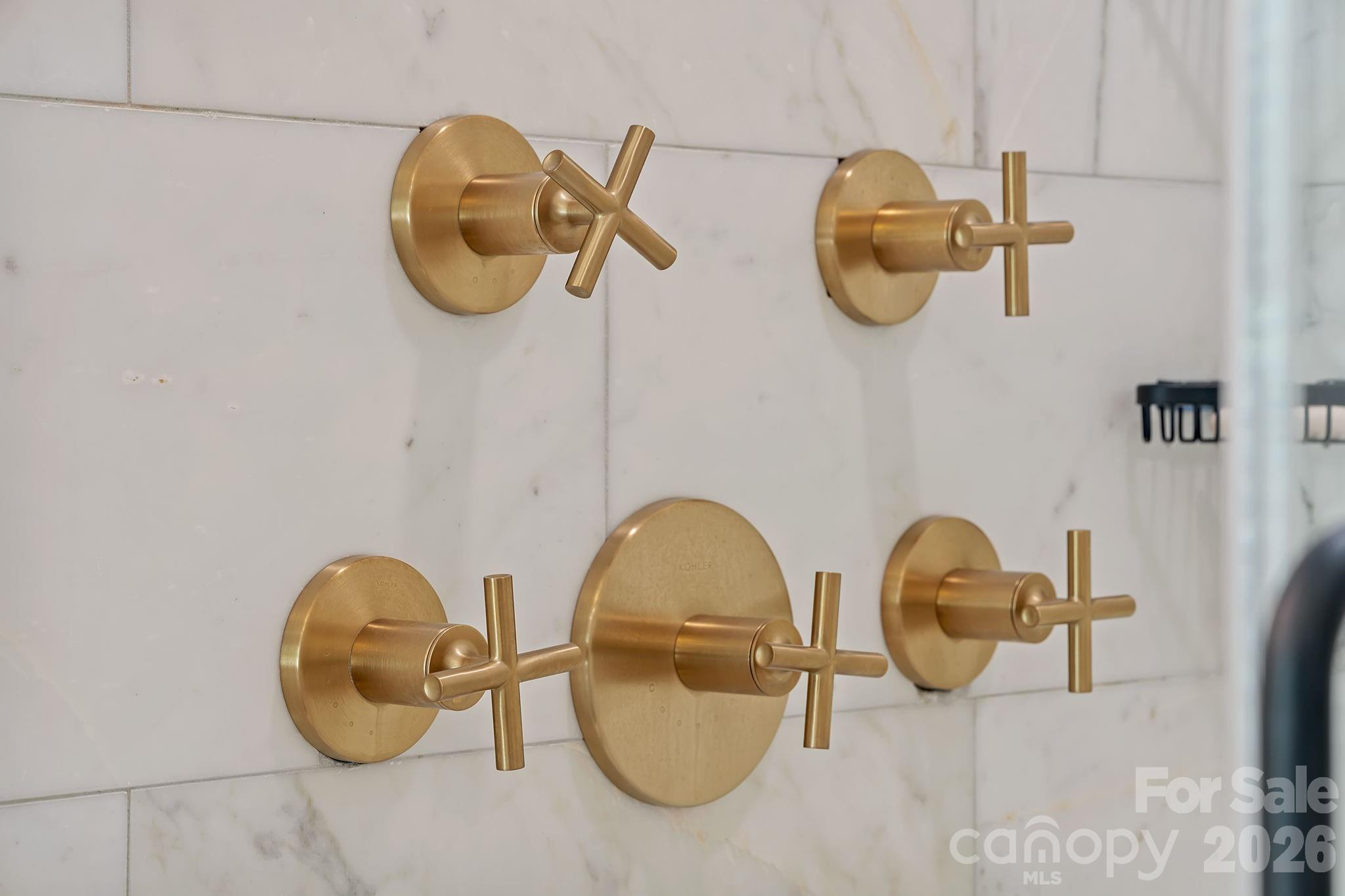 Biltmore Lake - Residential