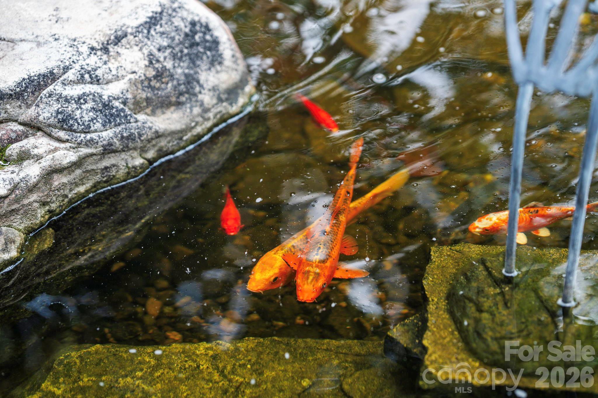 Biltmore Lake - Residential