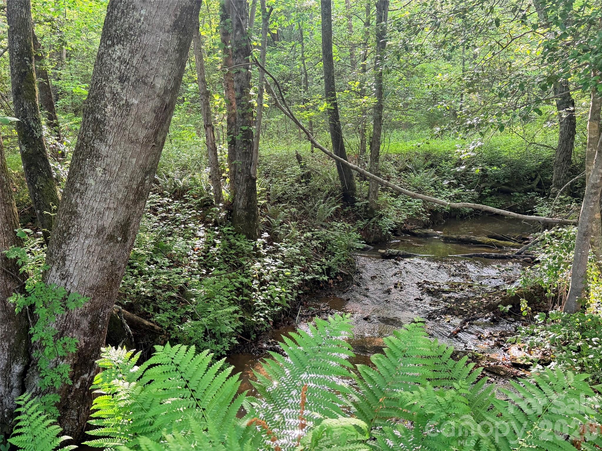 Lot 64 Shuttle Mill Crossing