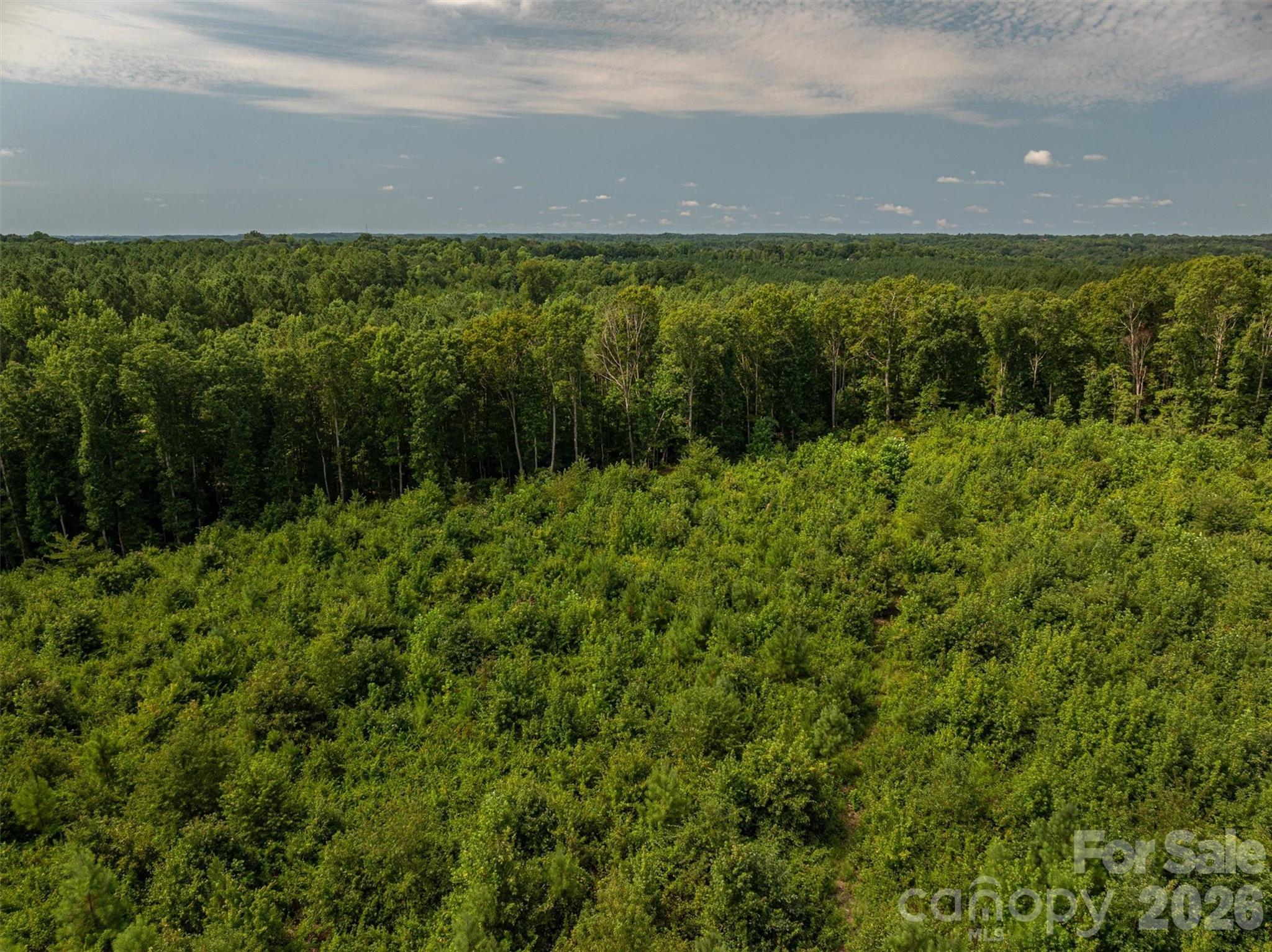 McCurry Farms - Land