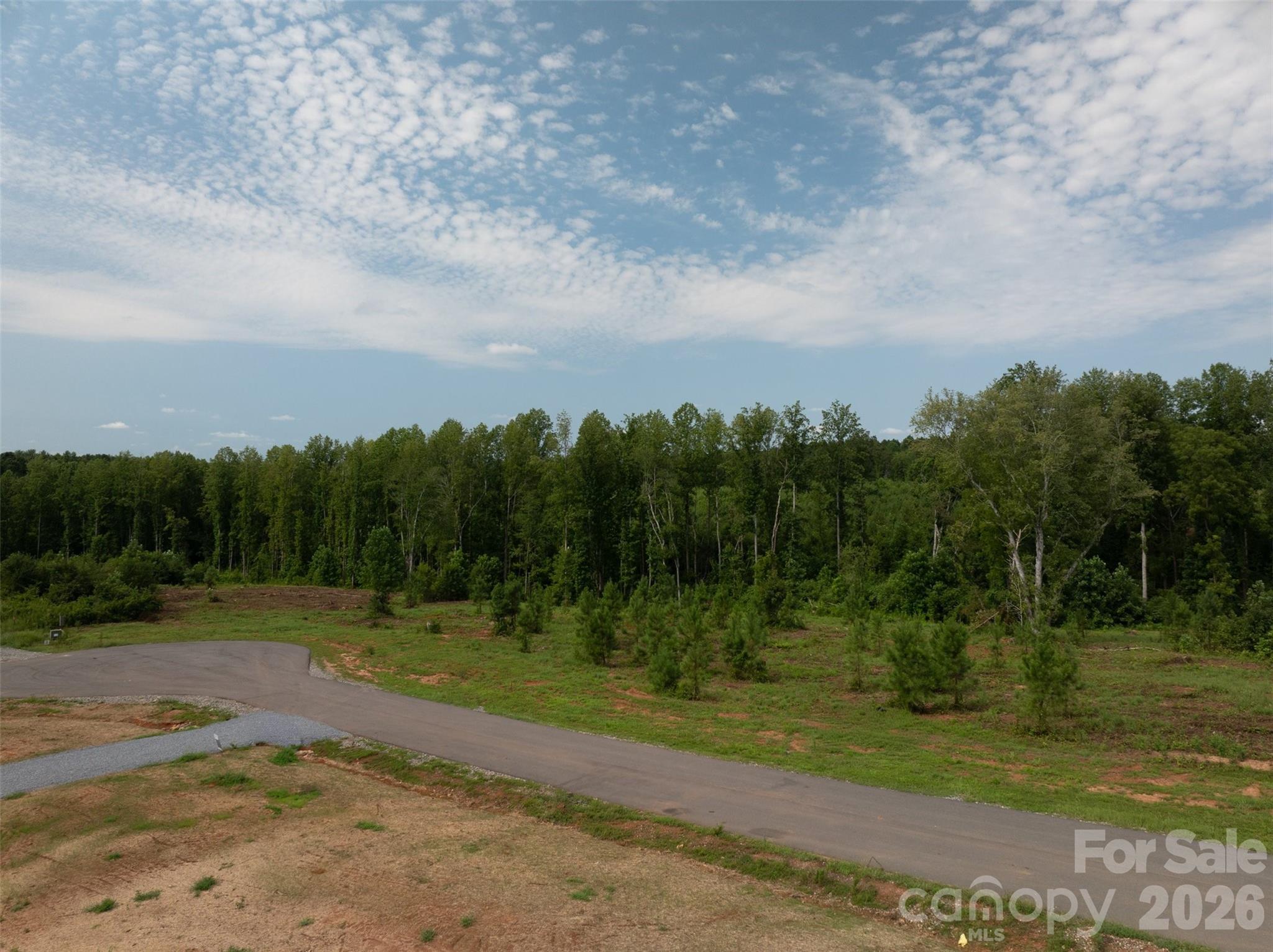 McCurry Farms - Land