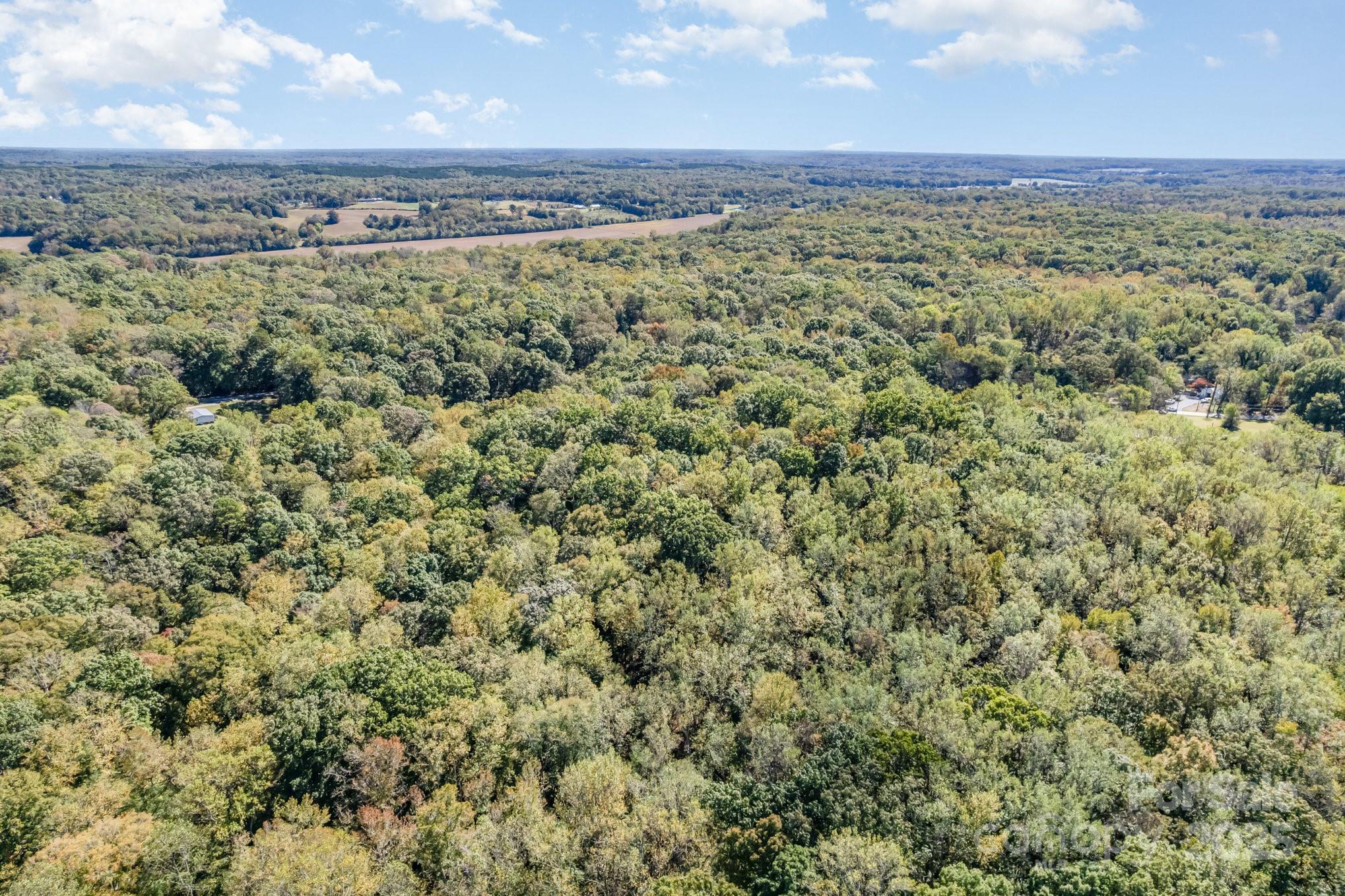 000 Courtney- Huntsville Road 3