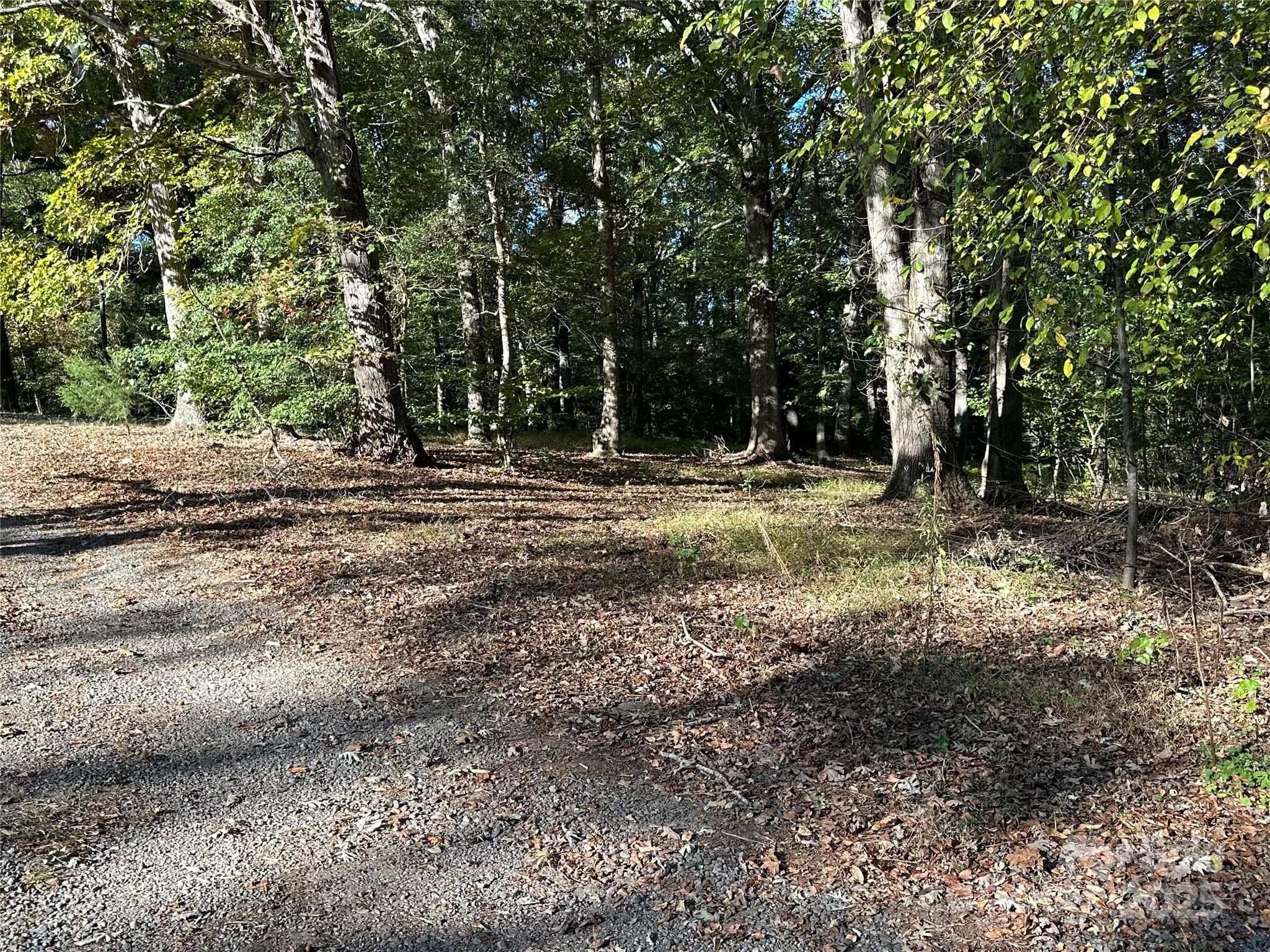 000 Courtney- Huntsville Road 3