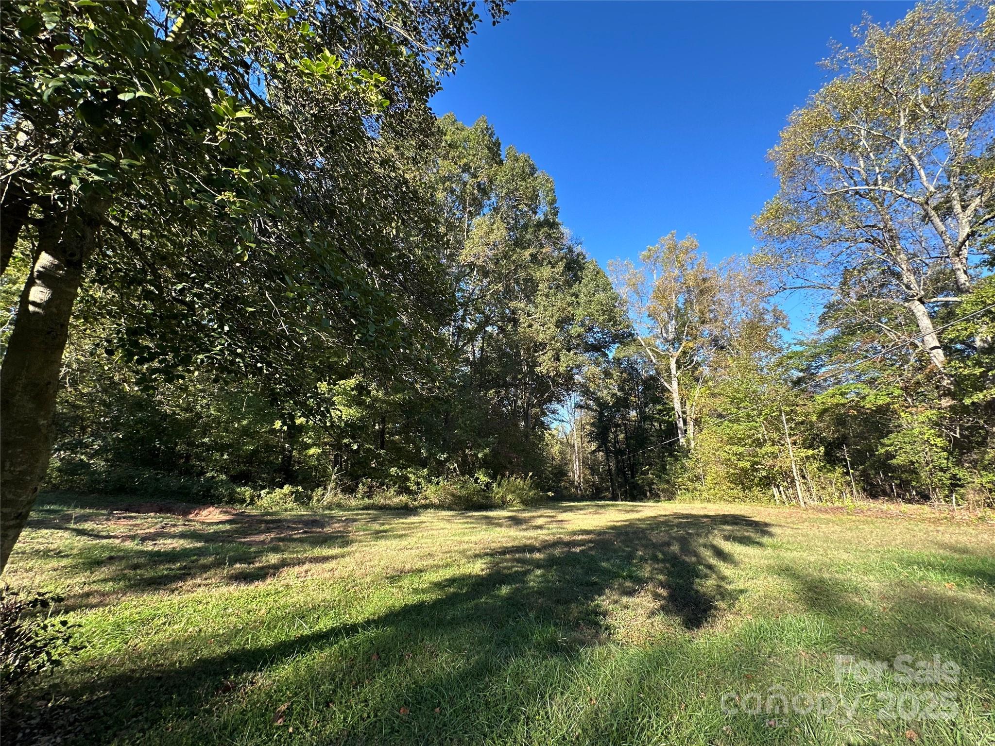 000 Courtney- Huntsville Road 3