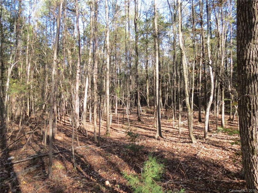 Very nice 5 acre tract with plenty of privacy.  This tract has a great mixture of hardwoods and pines and also a nice rolling topo.  the property is high in the back which creates a very nice build site that could have a nice curving driveway to a private home.